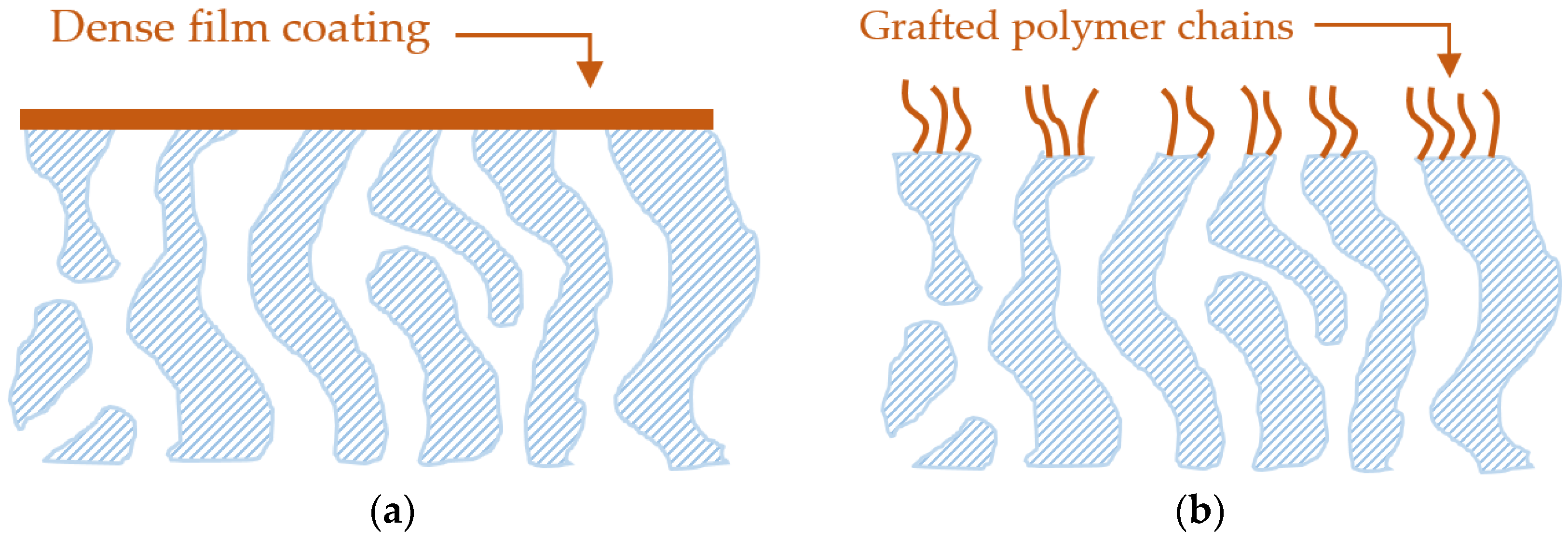Membranes 07 00013 g002 550