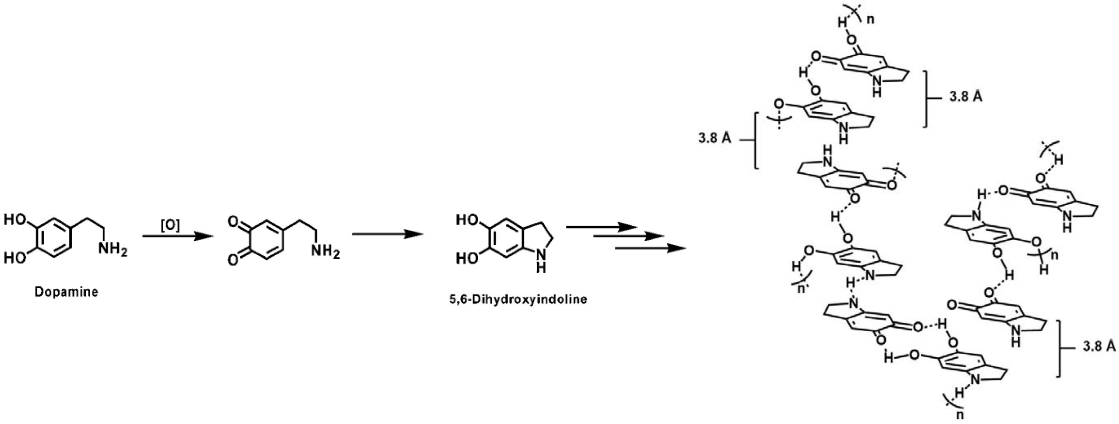 Membranes 07 00013 g006 550