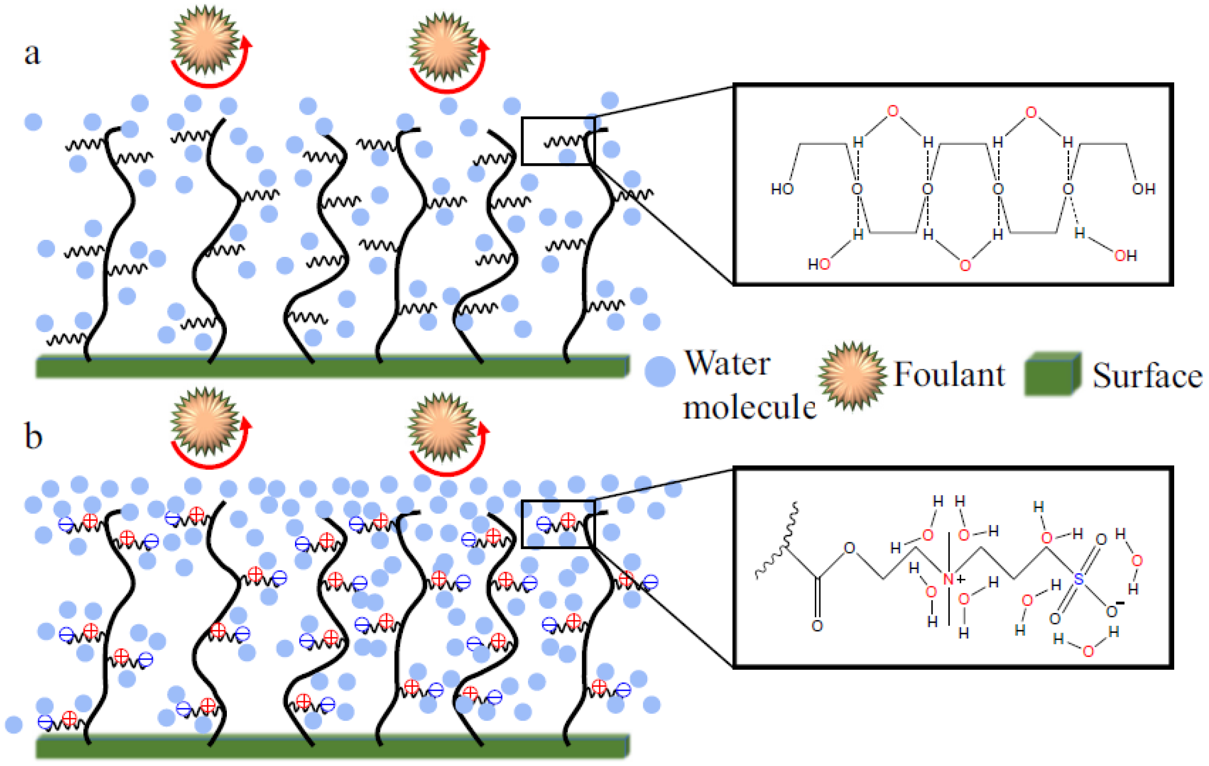 Membranes 07 00013 g010 550