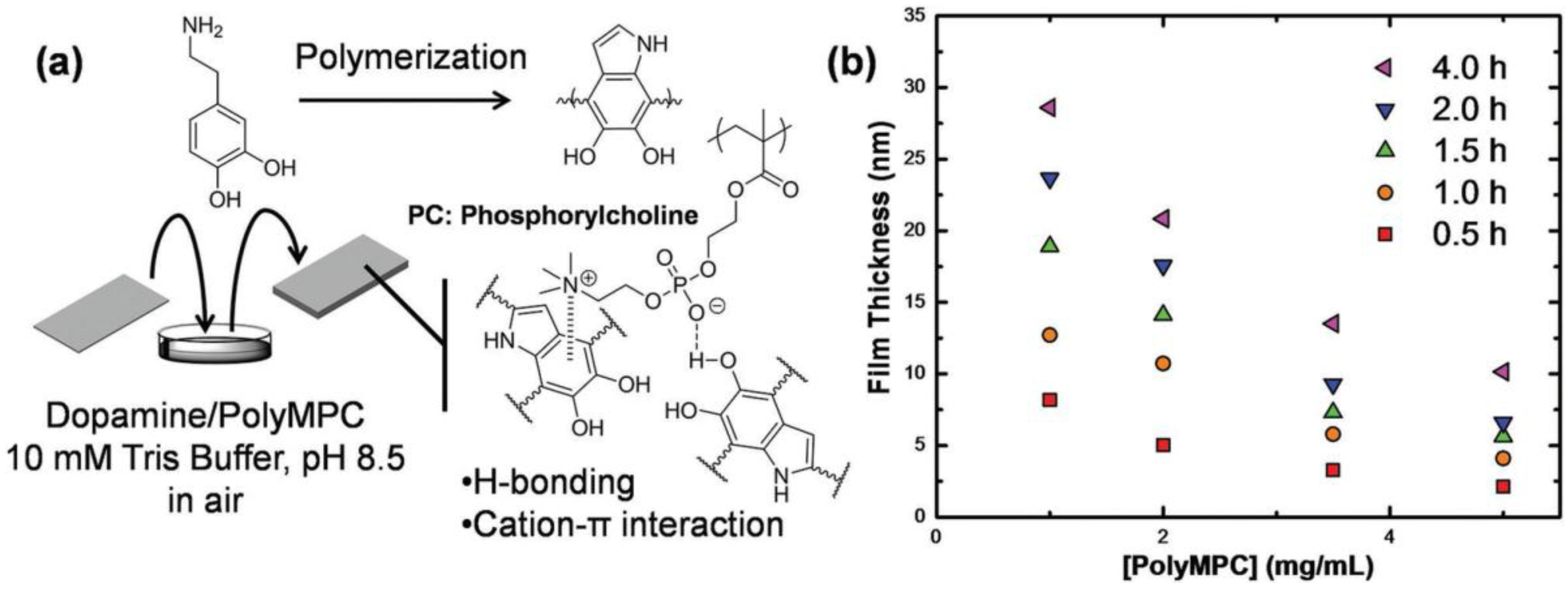 Membranes 07 00013 g011 550