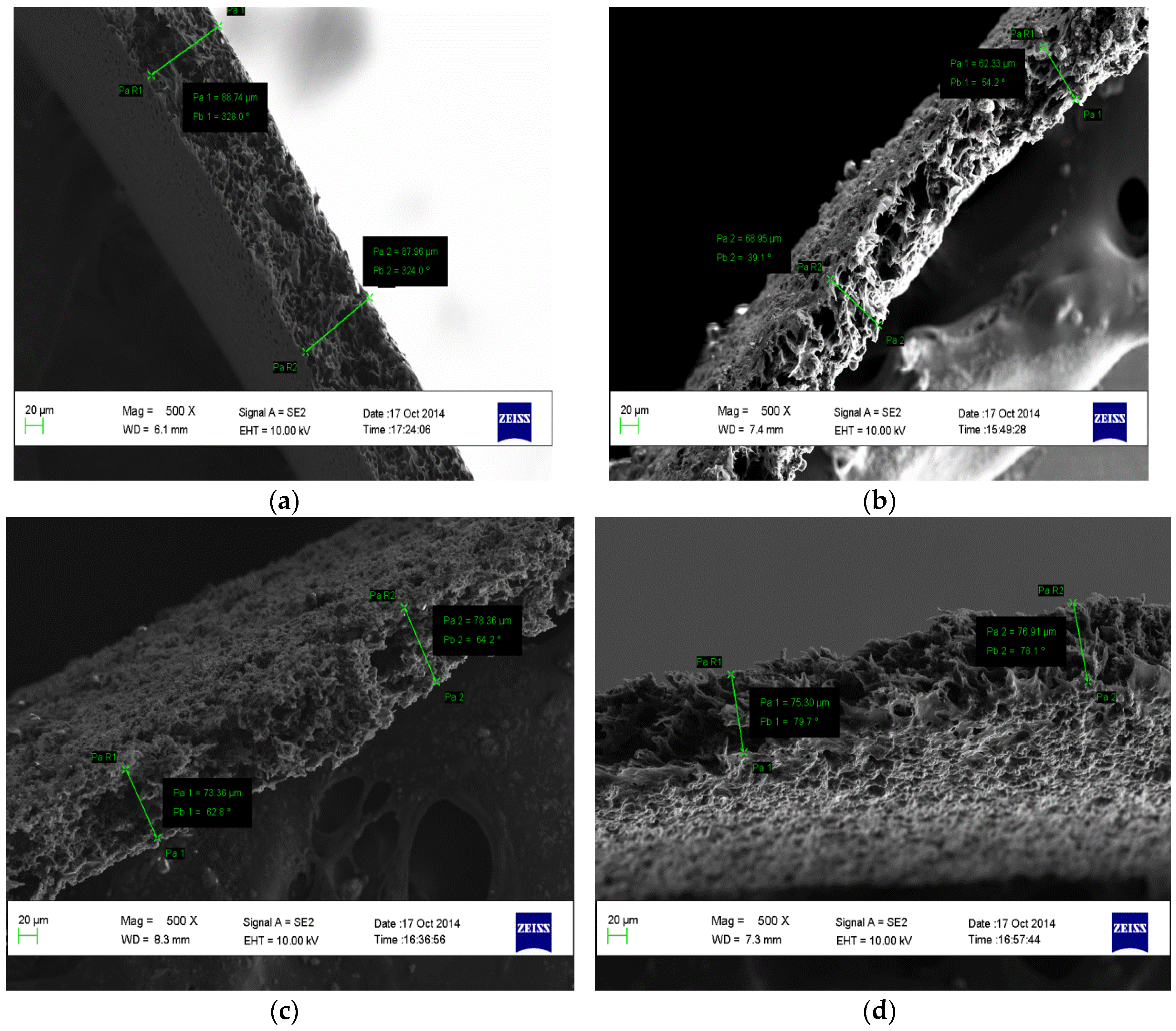 Membranes 07 00014 g006