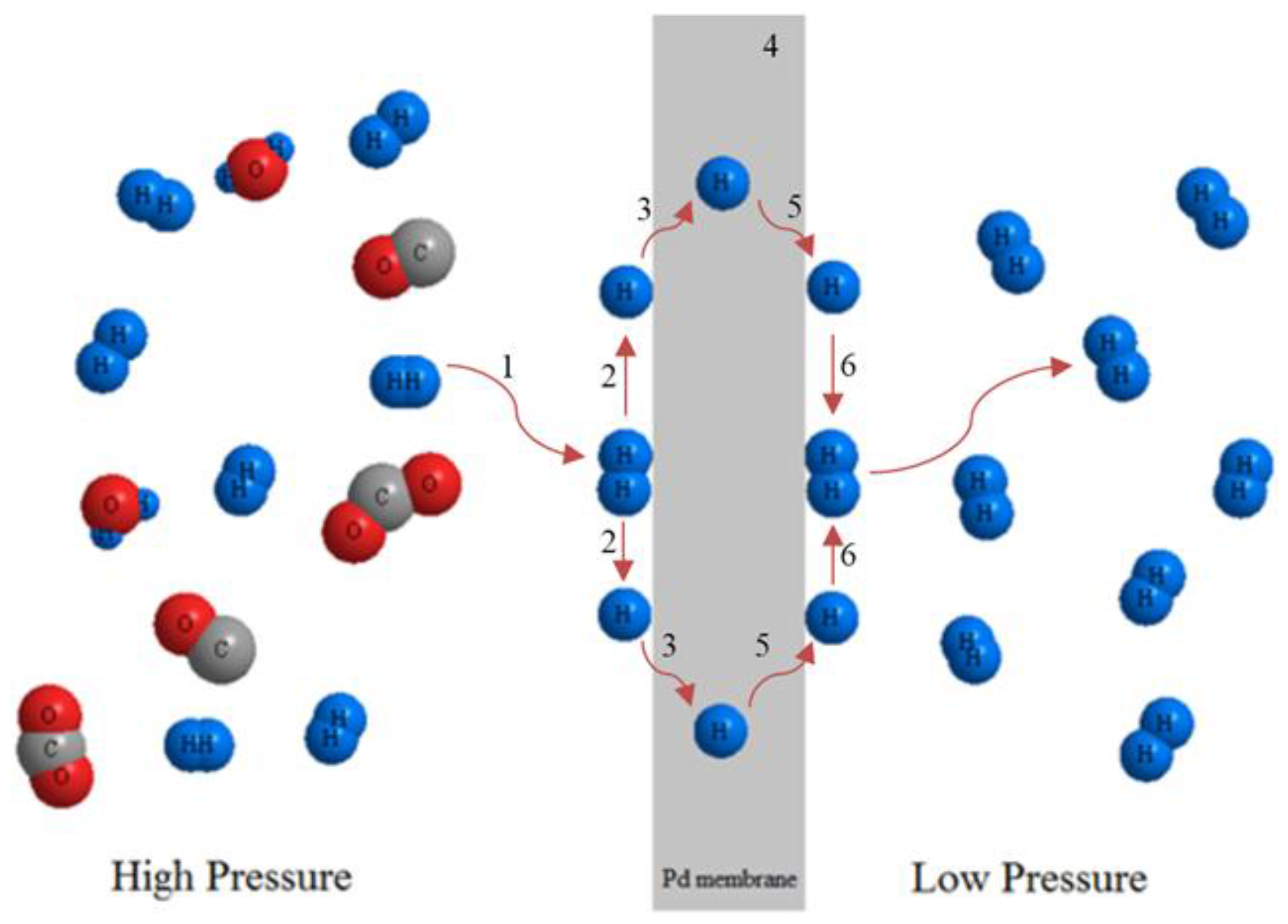 Membranes 07 00017 g012