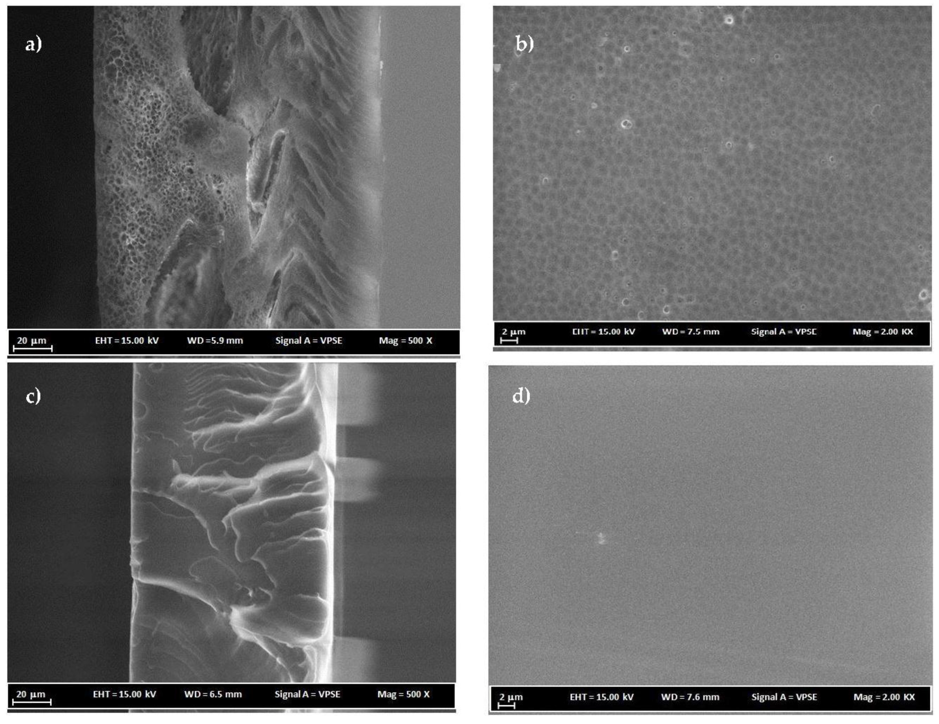 Membranes 07 00021 g005