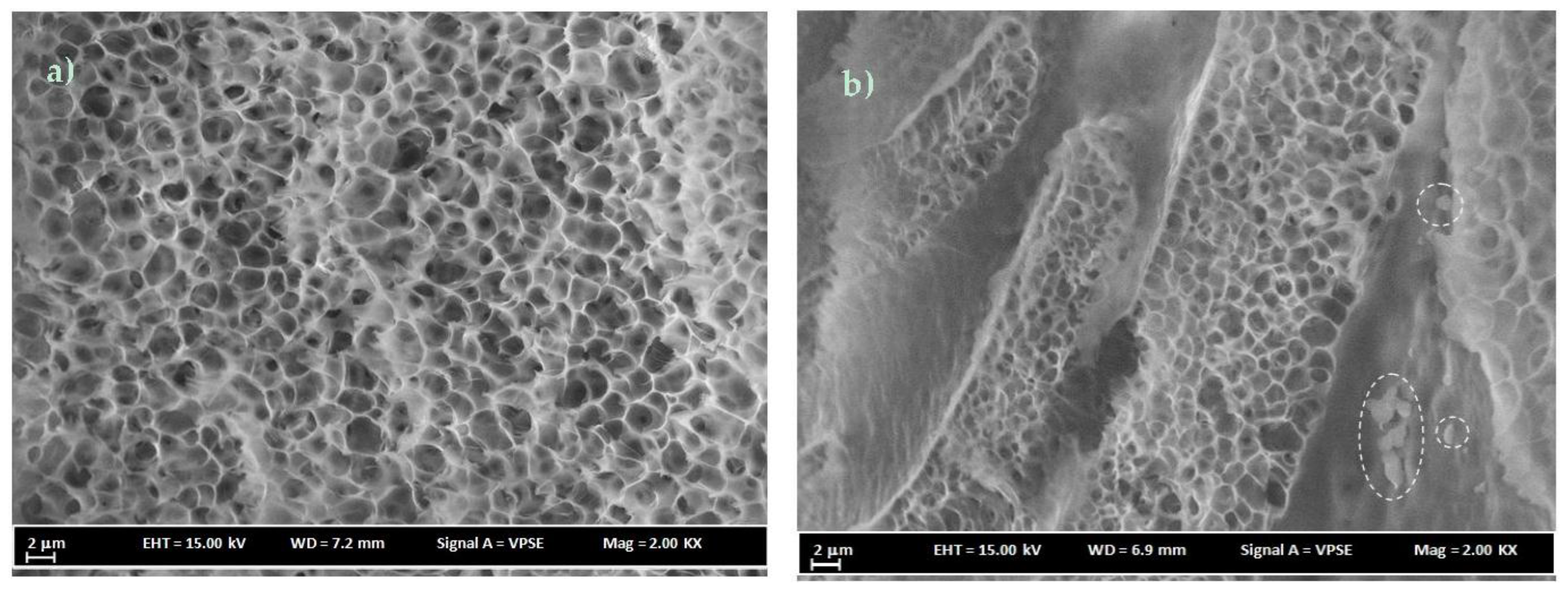 Membranes 07 00021 g007