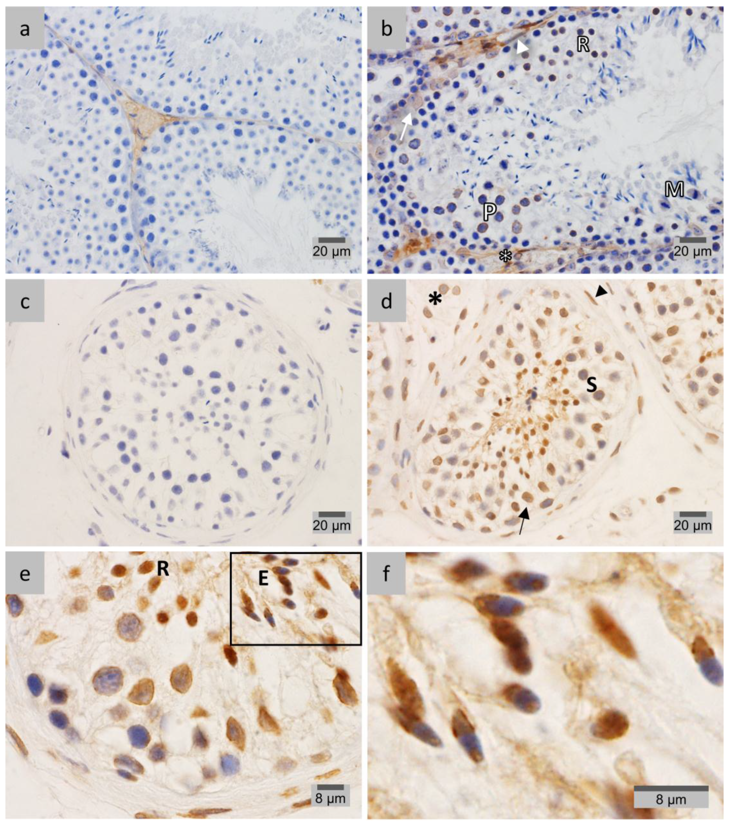 Membranes 07 00022 g006