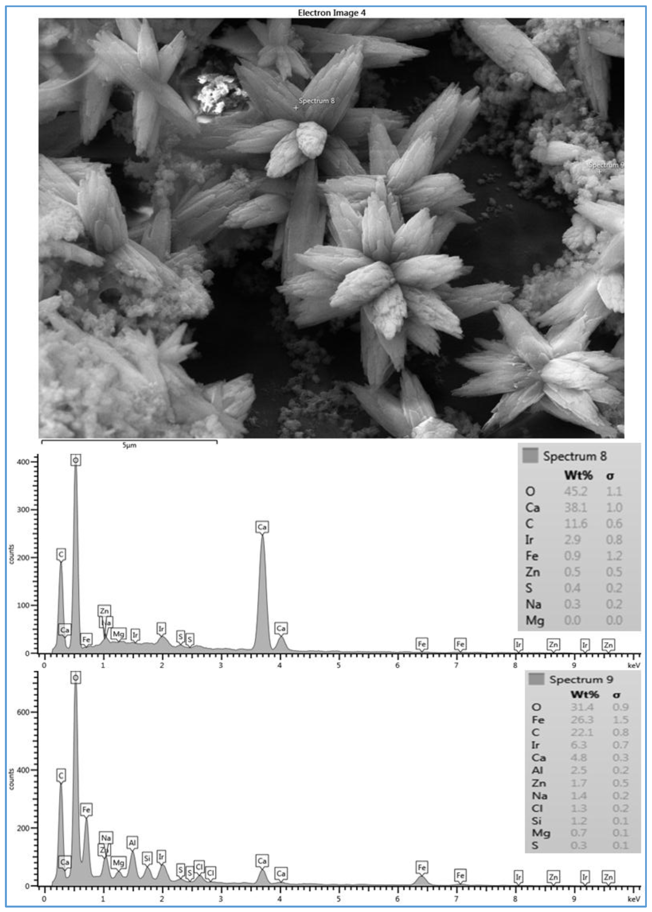 Membranes 07 00023 g005 550