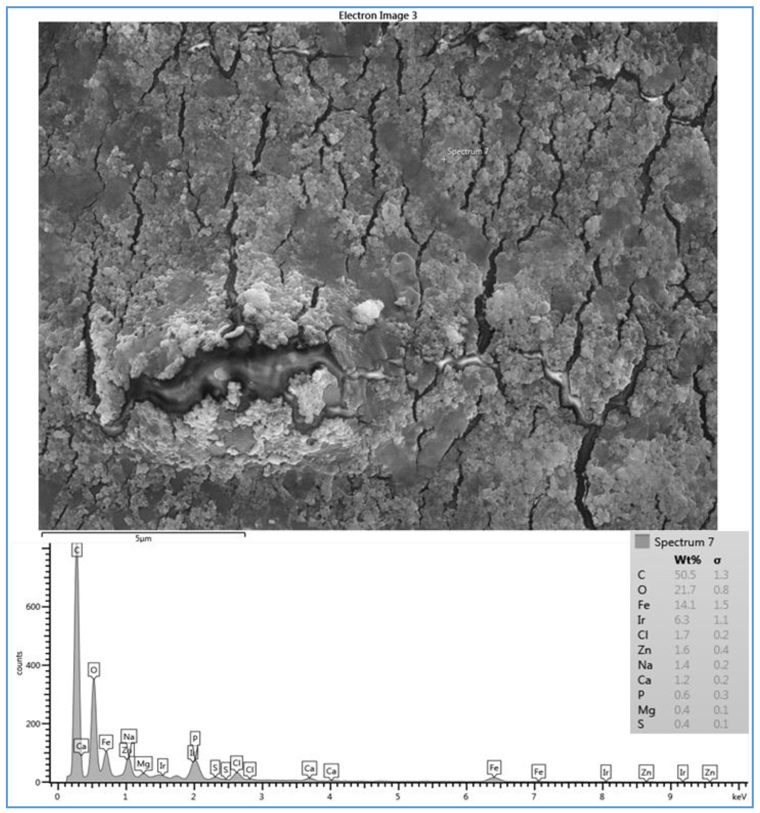 Membranes 07 00023 g007 550