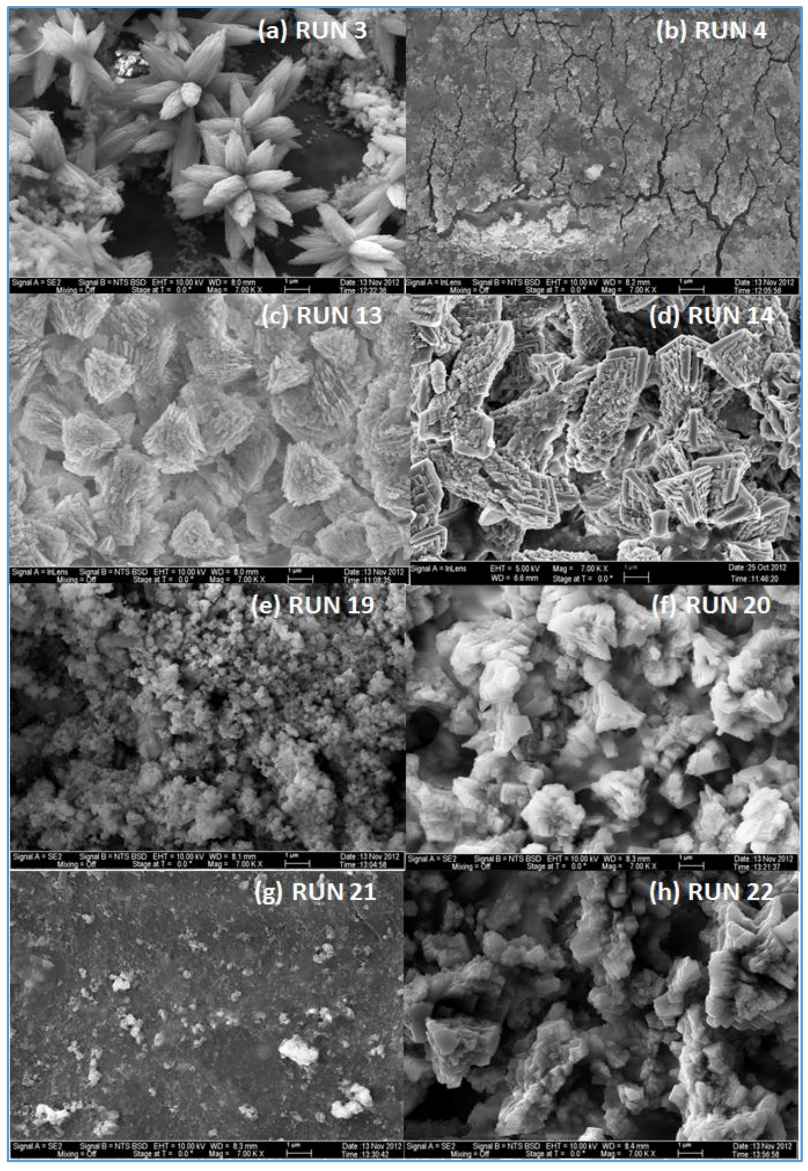 Membranes 07 00023 g008 550