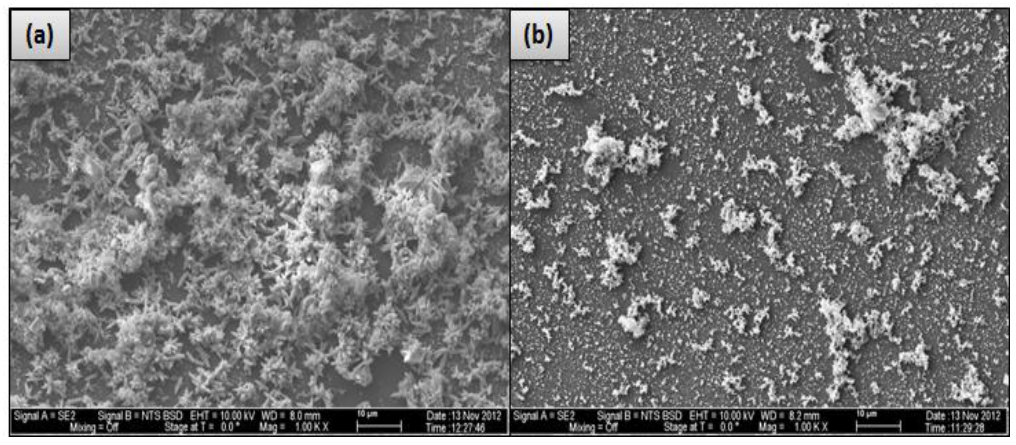 Membranes 07 00023 g011a 550