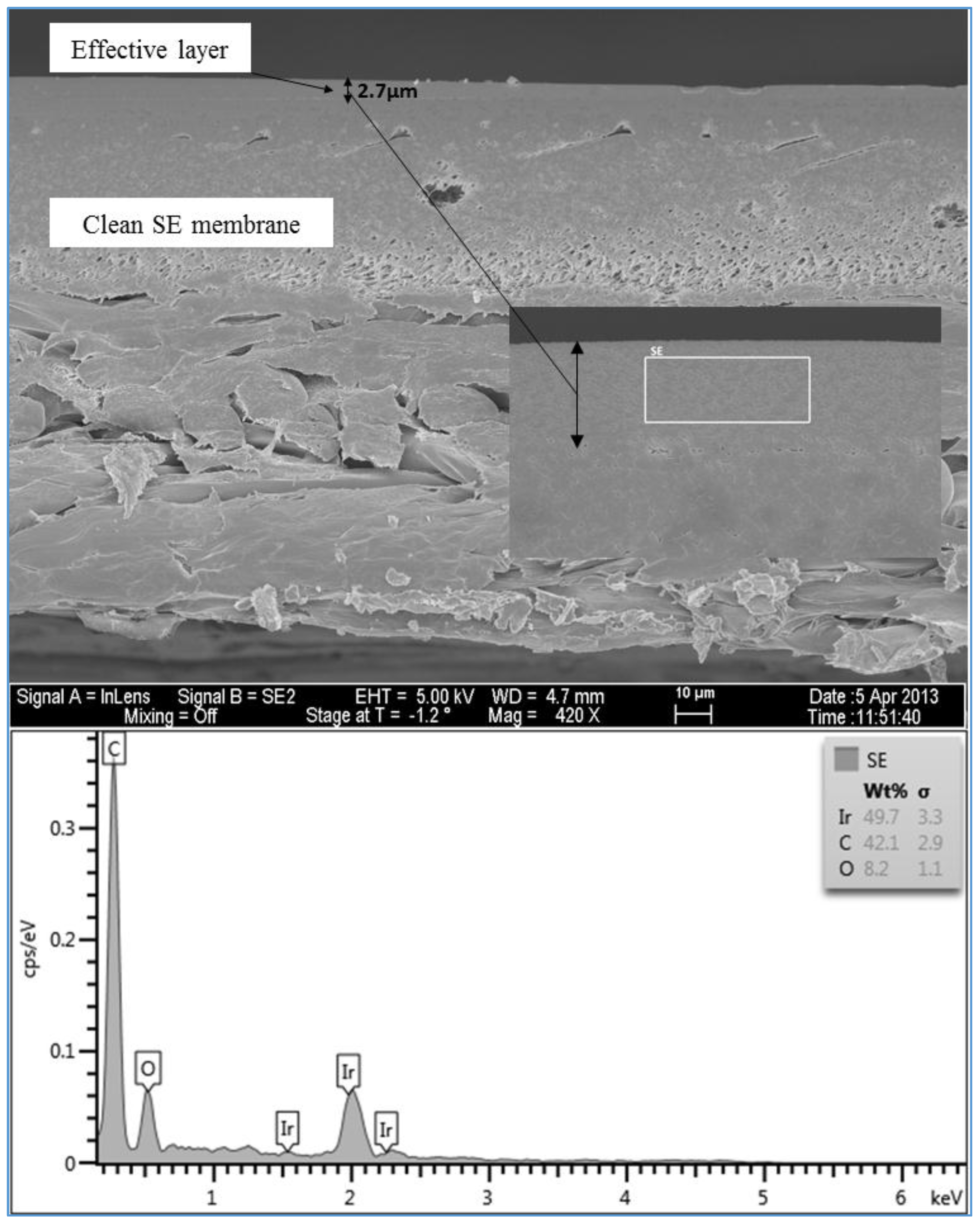 Membranes 07 00023 g013 550