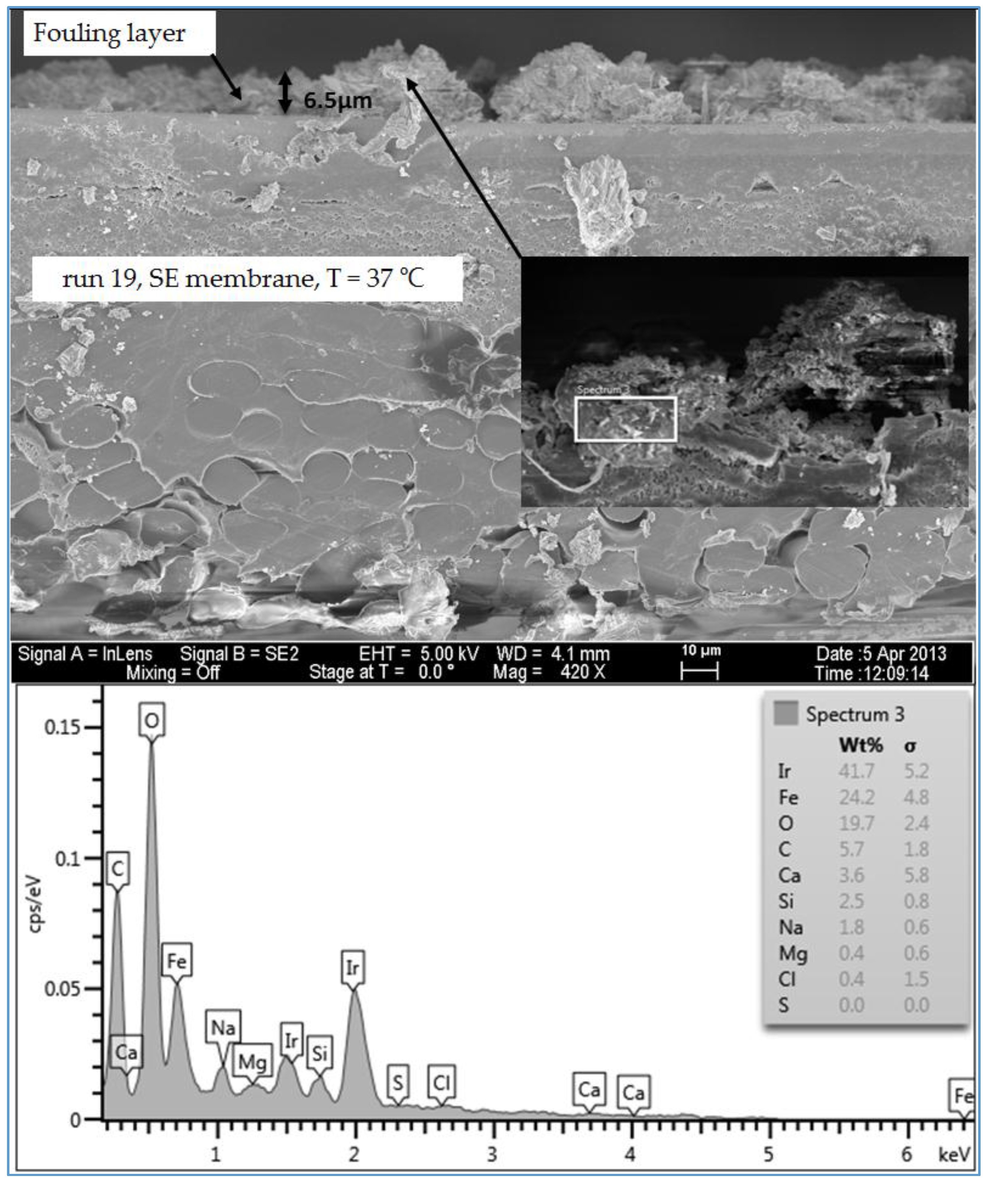 Membranes 07 00023 g016 550