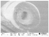 Membranes 07 00027 i007