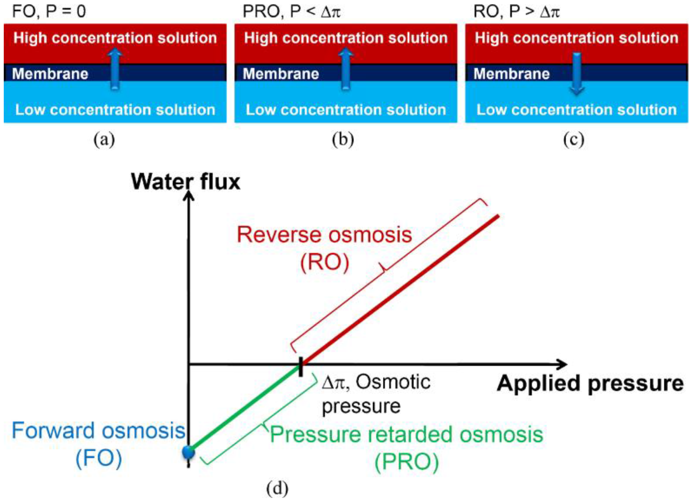 Membranes 07 00030 g002