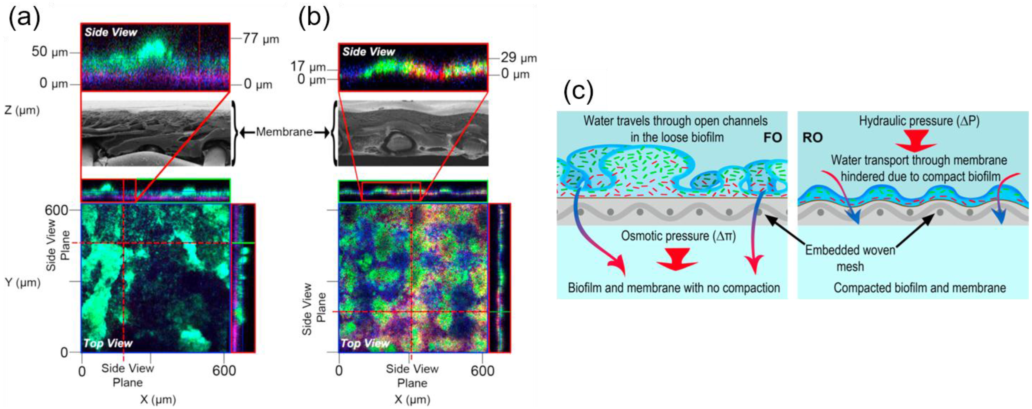 Membranes 07 00030 g006
