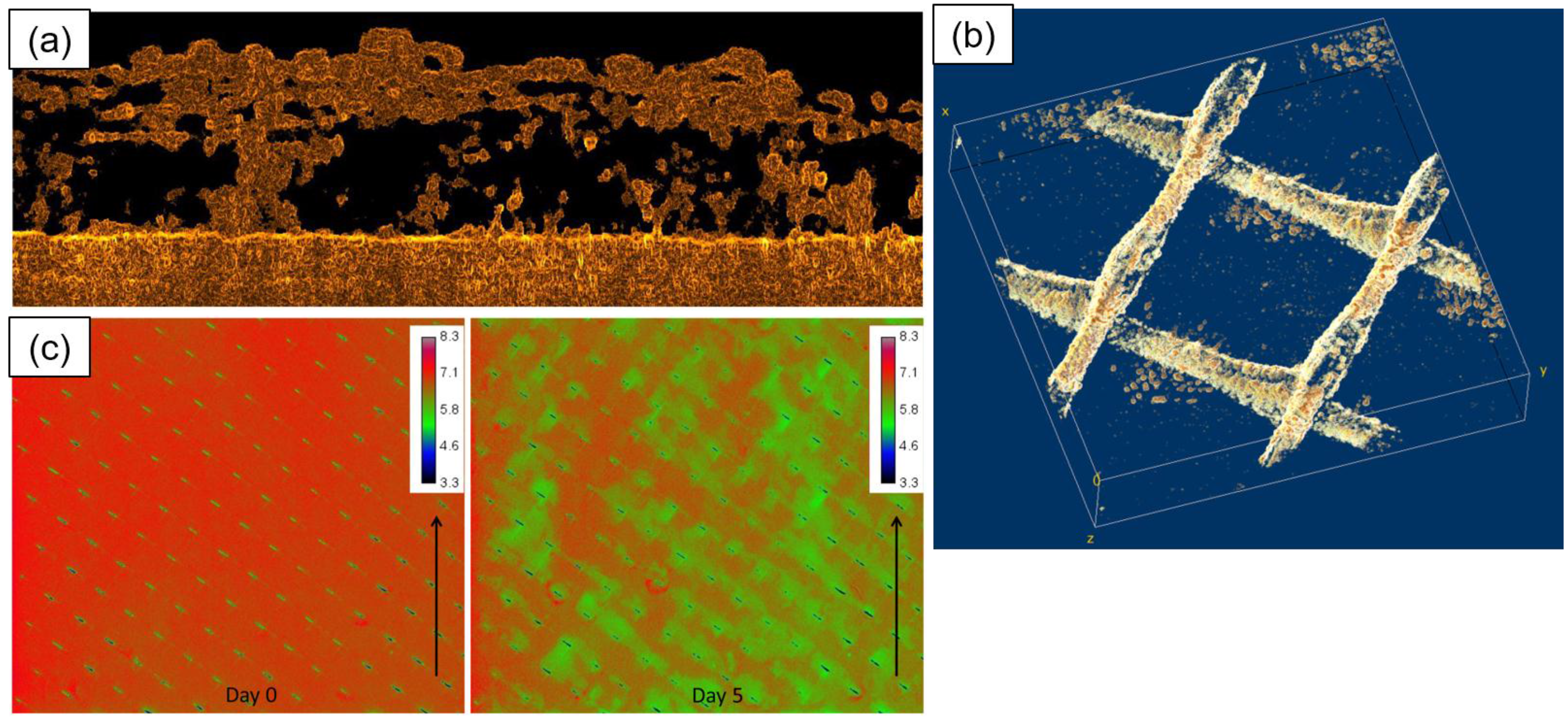 Membranes 07 00030 g008