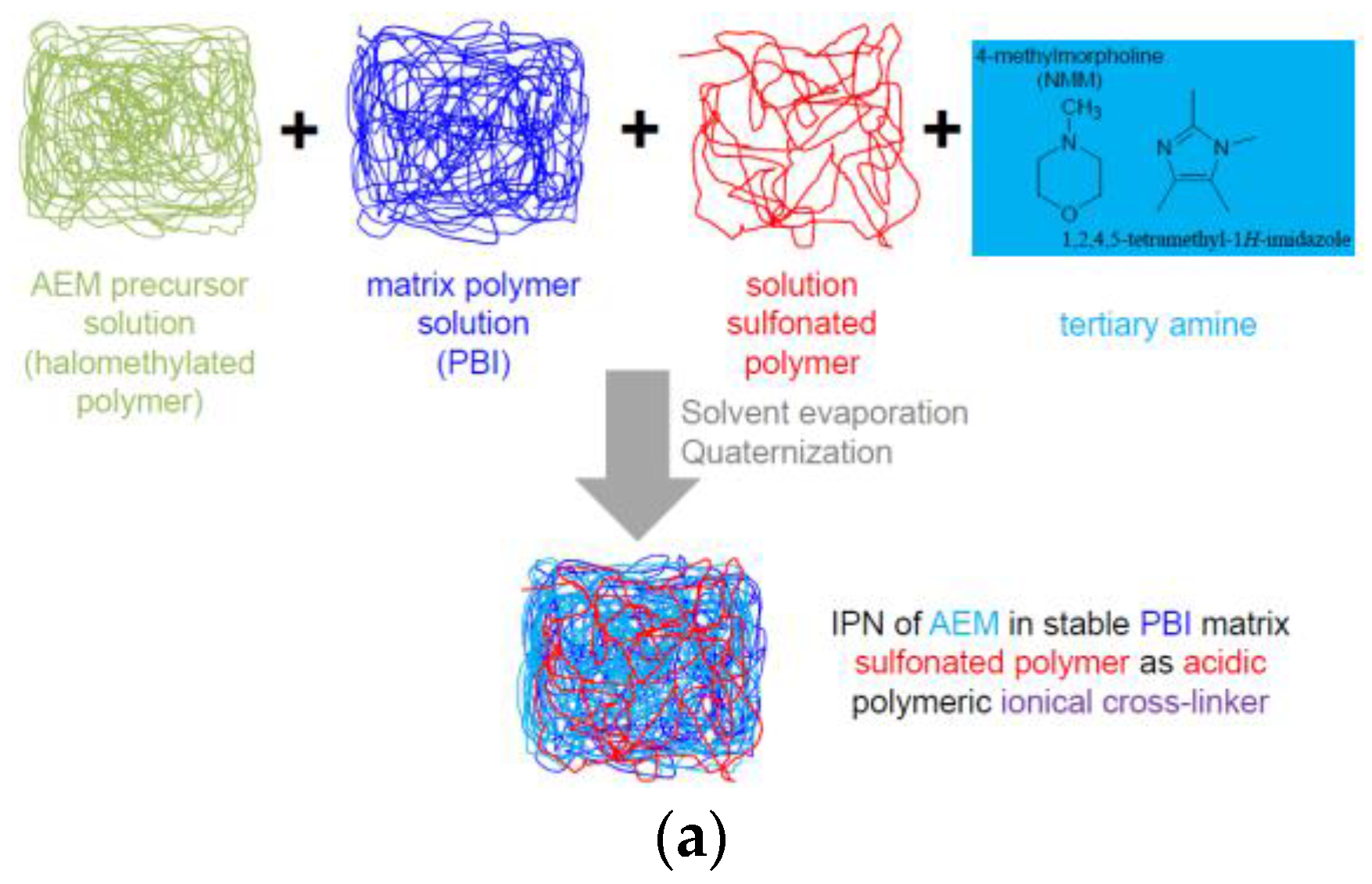 Membranes 07 00032 g001a