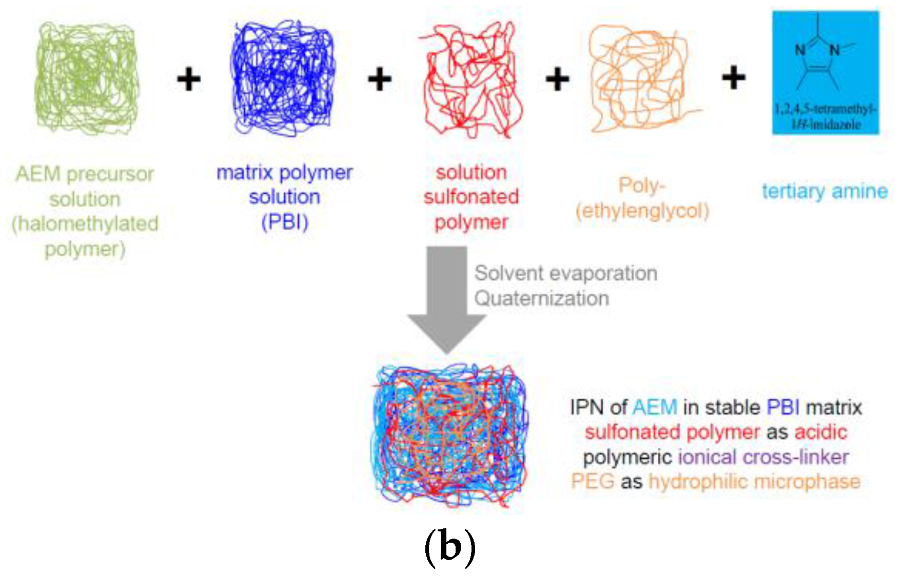 Membranes 07 00032 g001b