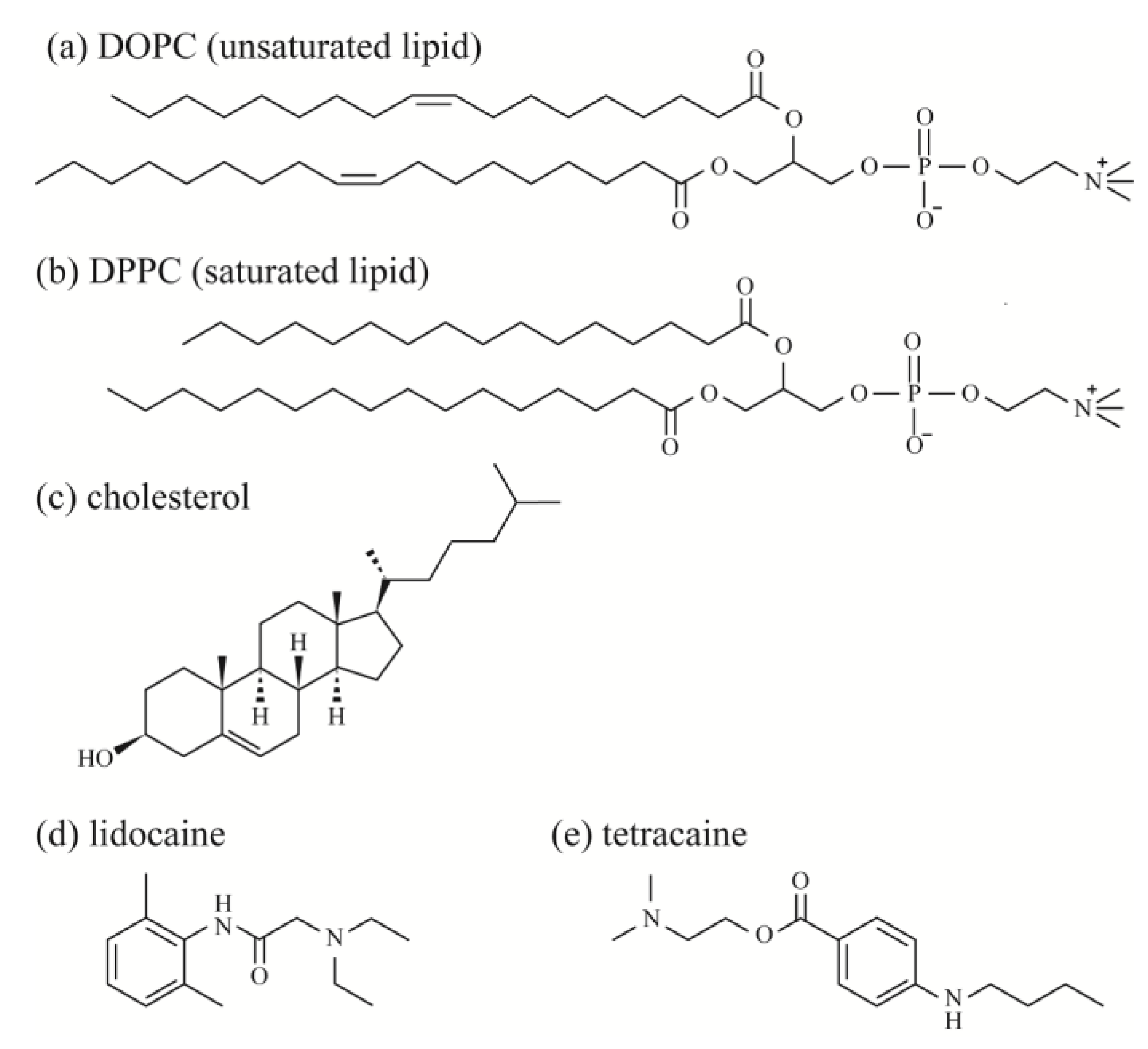 Membranes 07 00033 g001