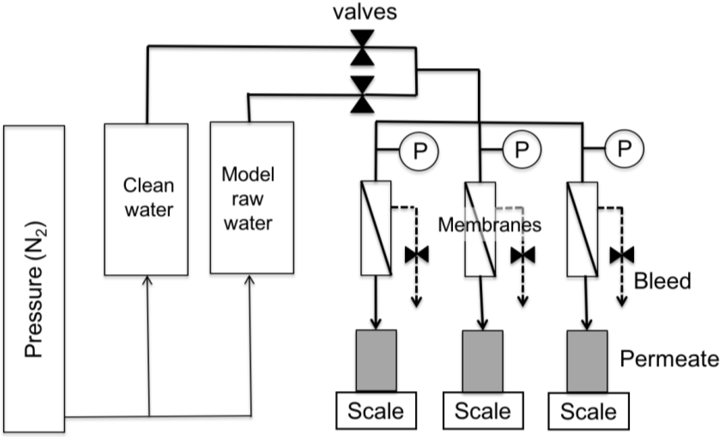 Membranes 07 00034 g001 550
