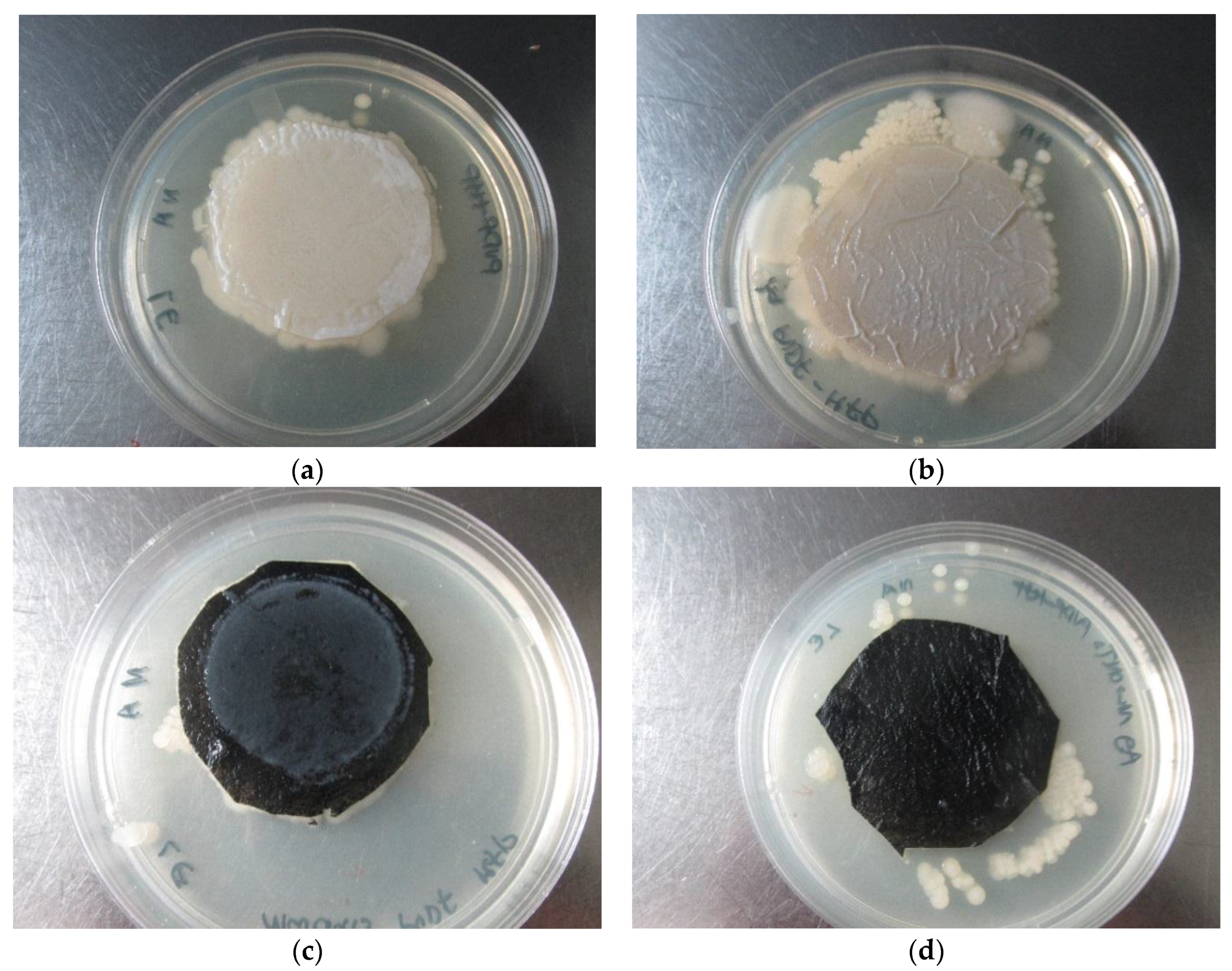 Membranes 07 00035 g009 550