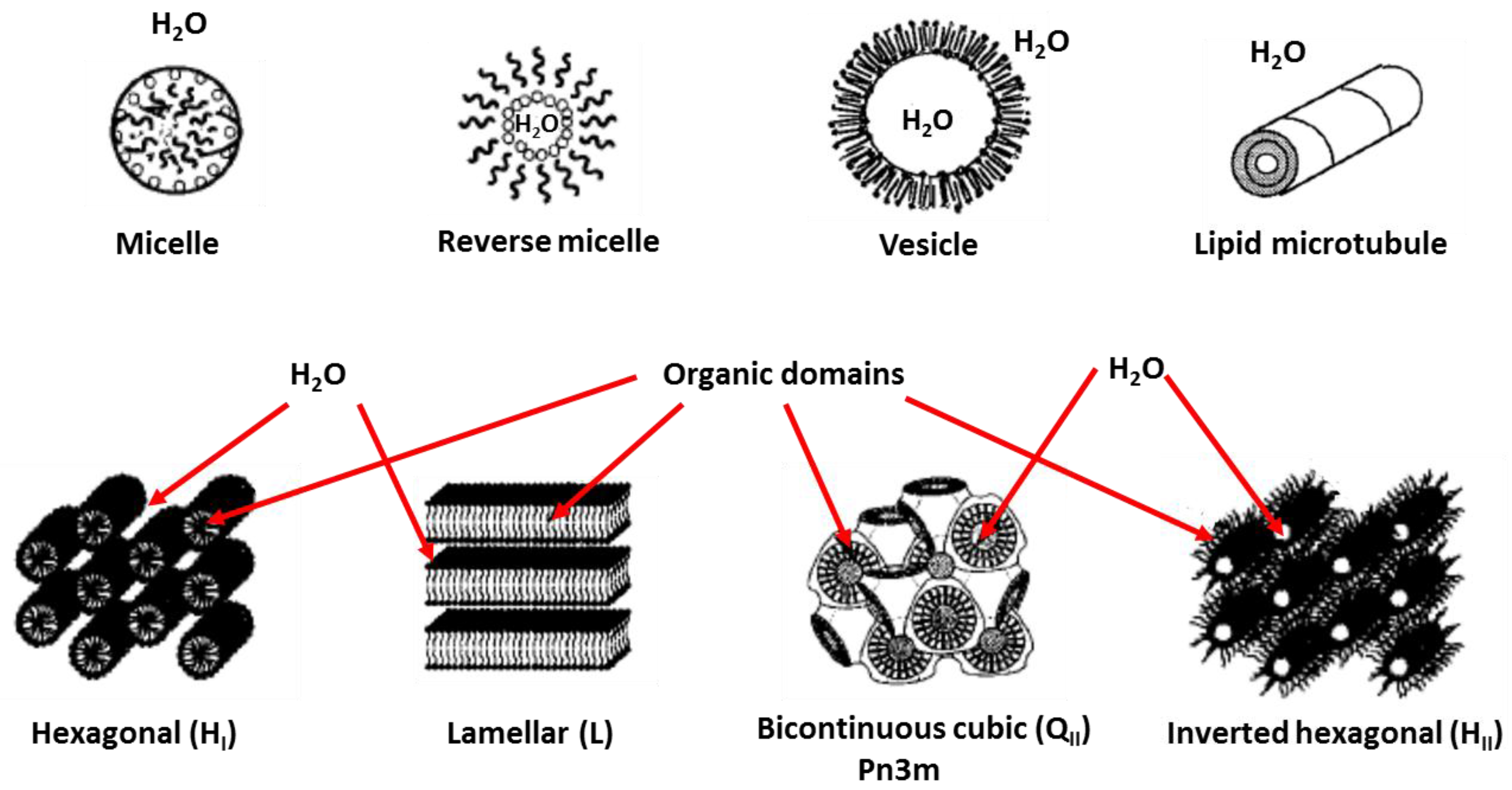 Membranes 07 00037 g003