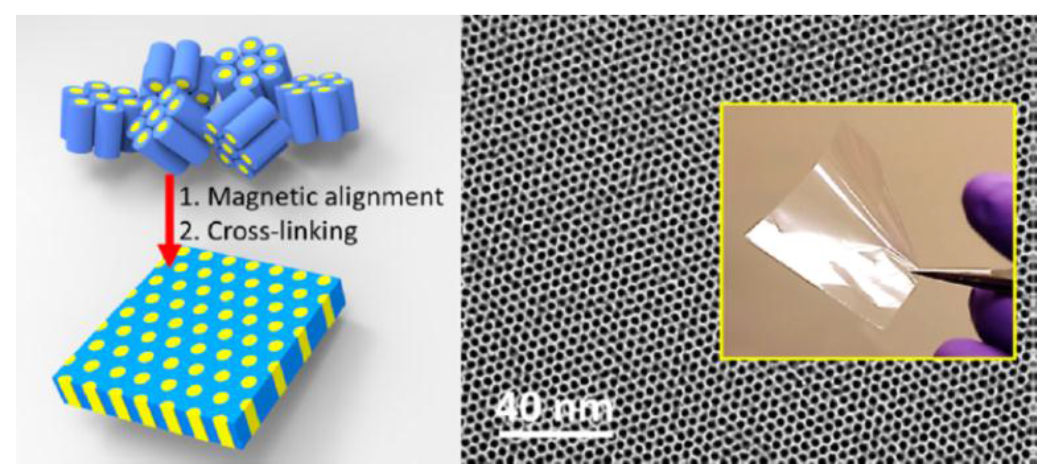 Membranes 07 00037 g011