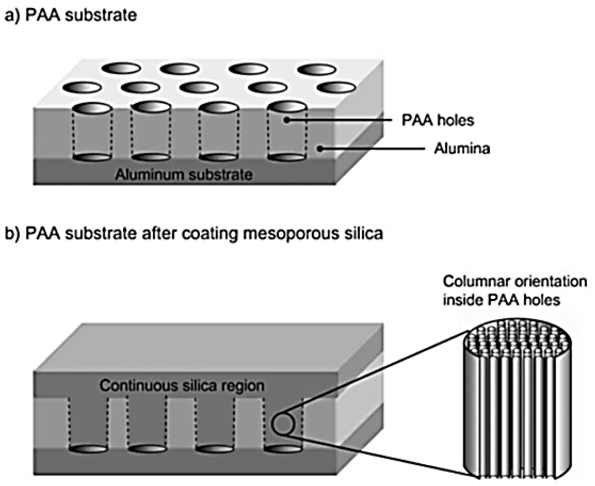 Membranes 07 00037 g013