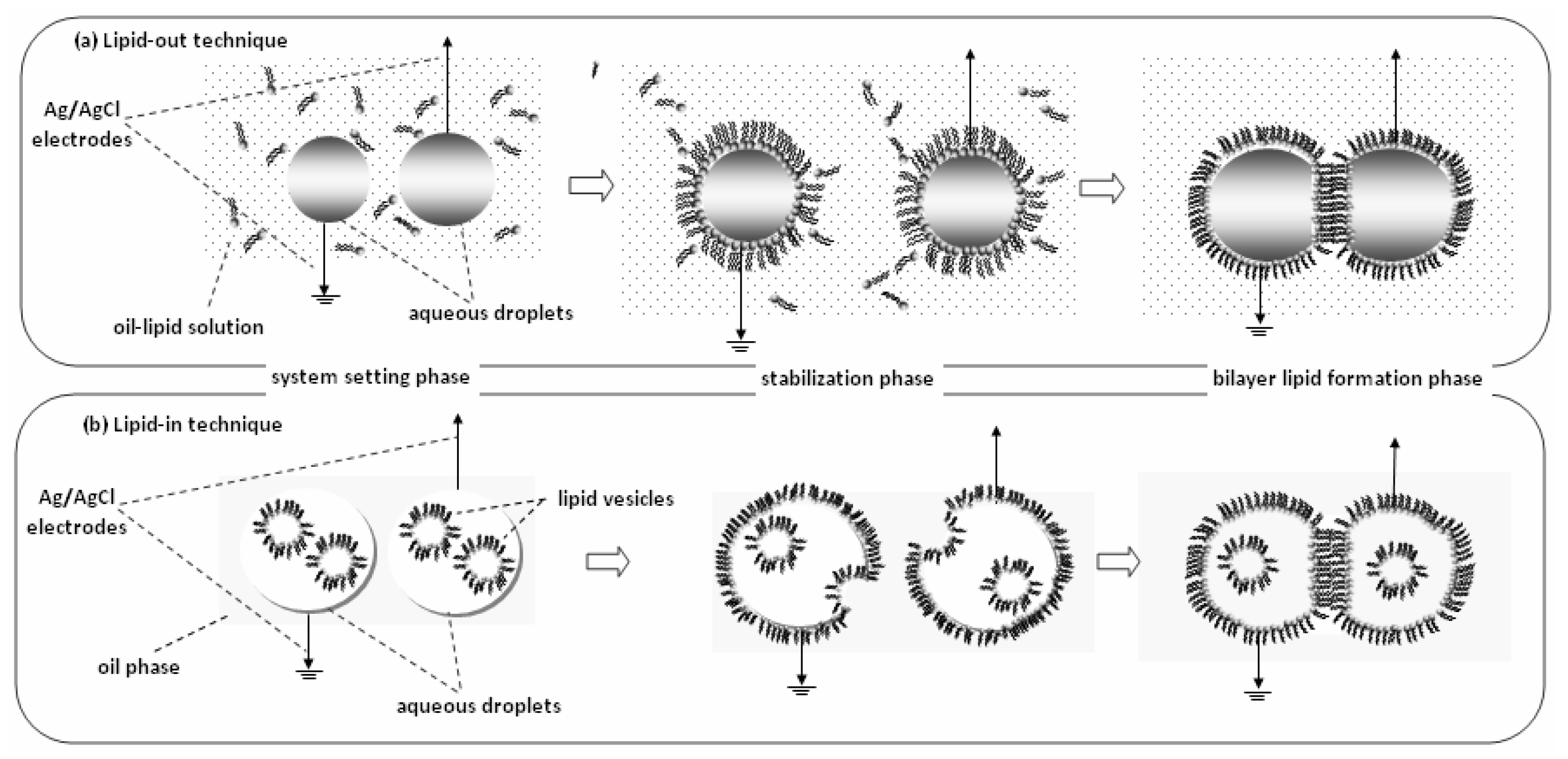 Membranes 07 00038 g005