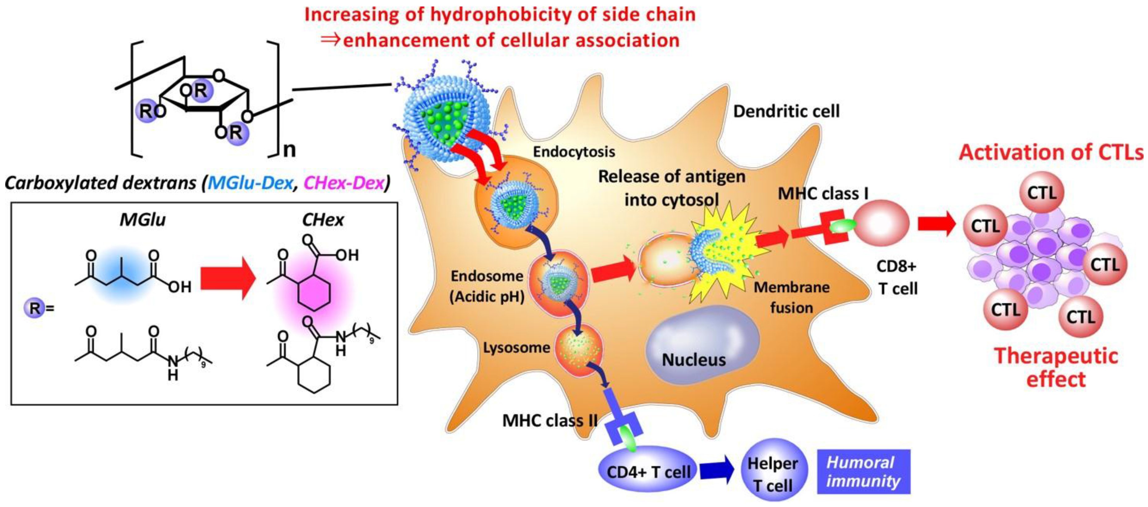 Membranes 07 00041 g001 550