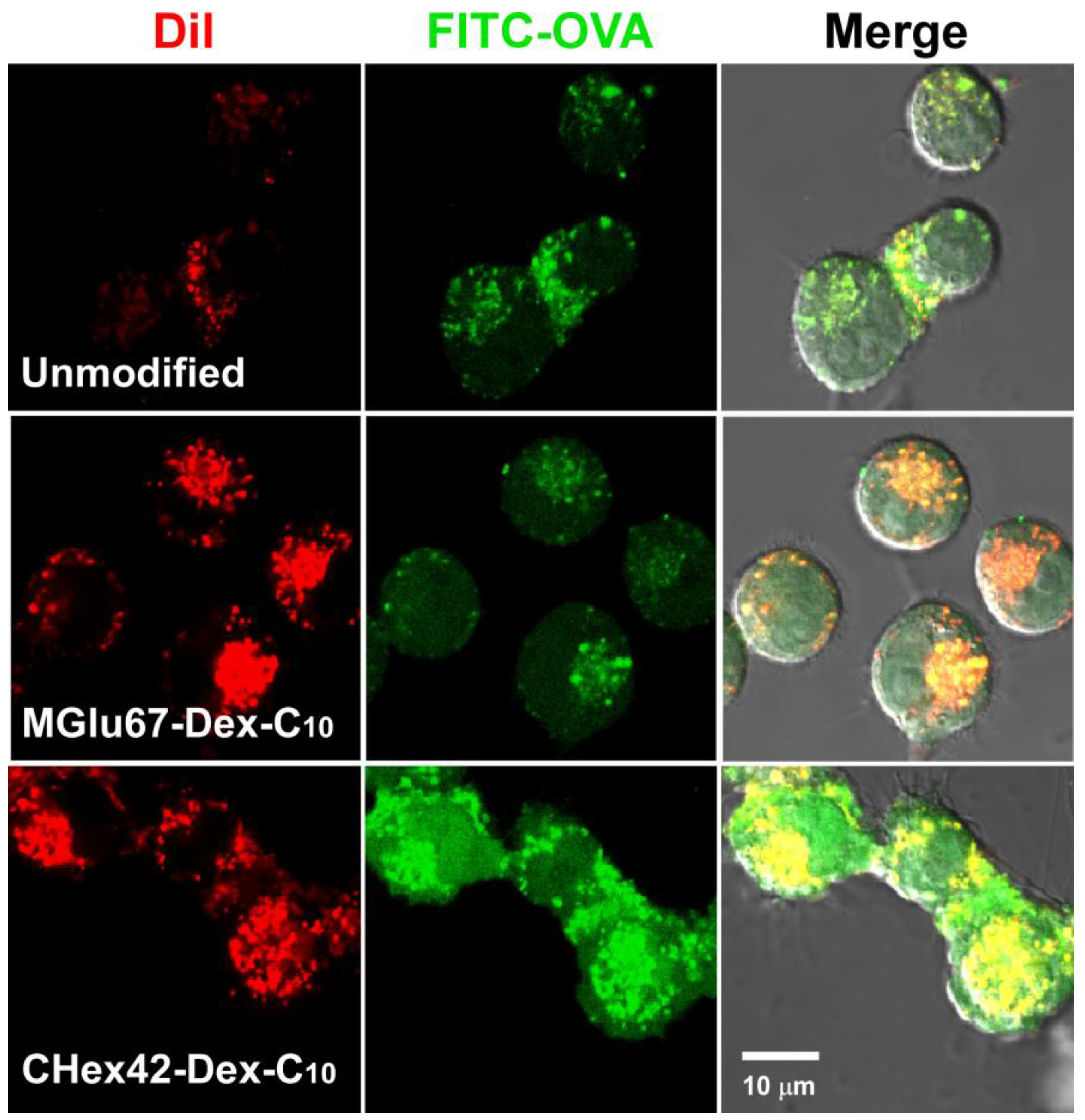Membranes 07 00041 g008 550