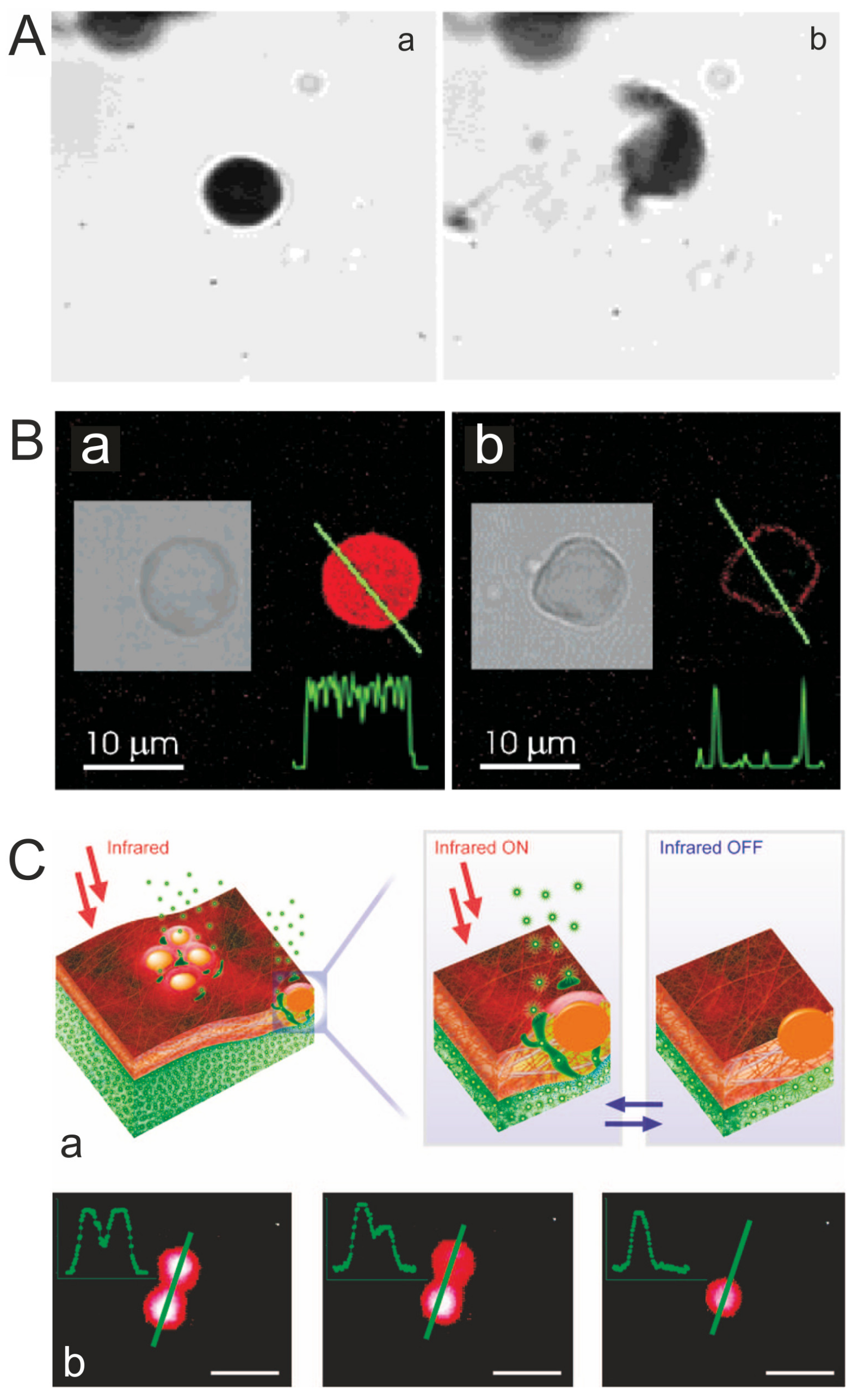 Membranes 07 00044 g002