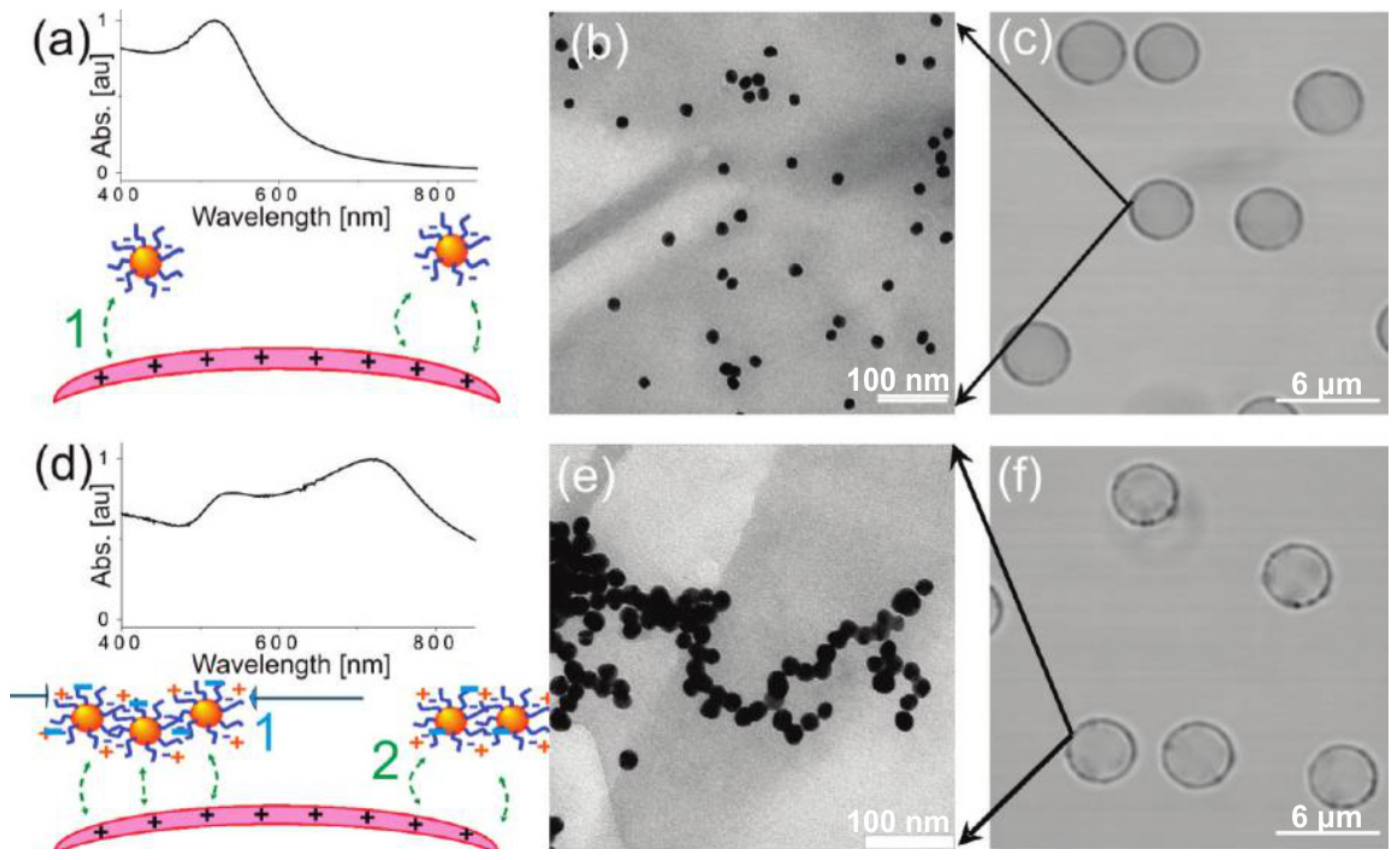 Membranes 07 00044 g003
