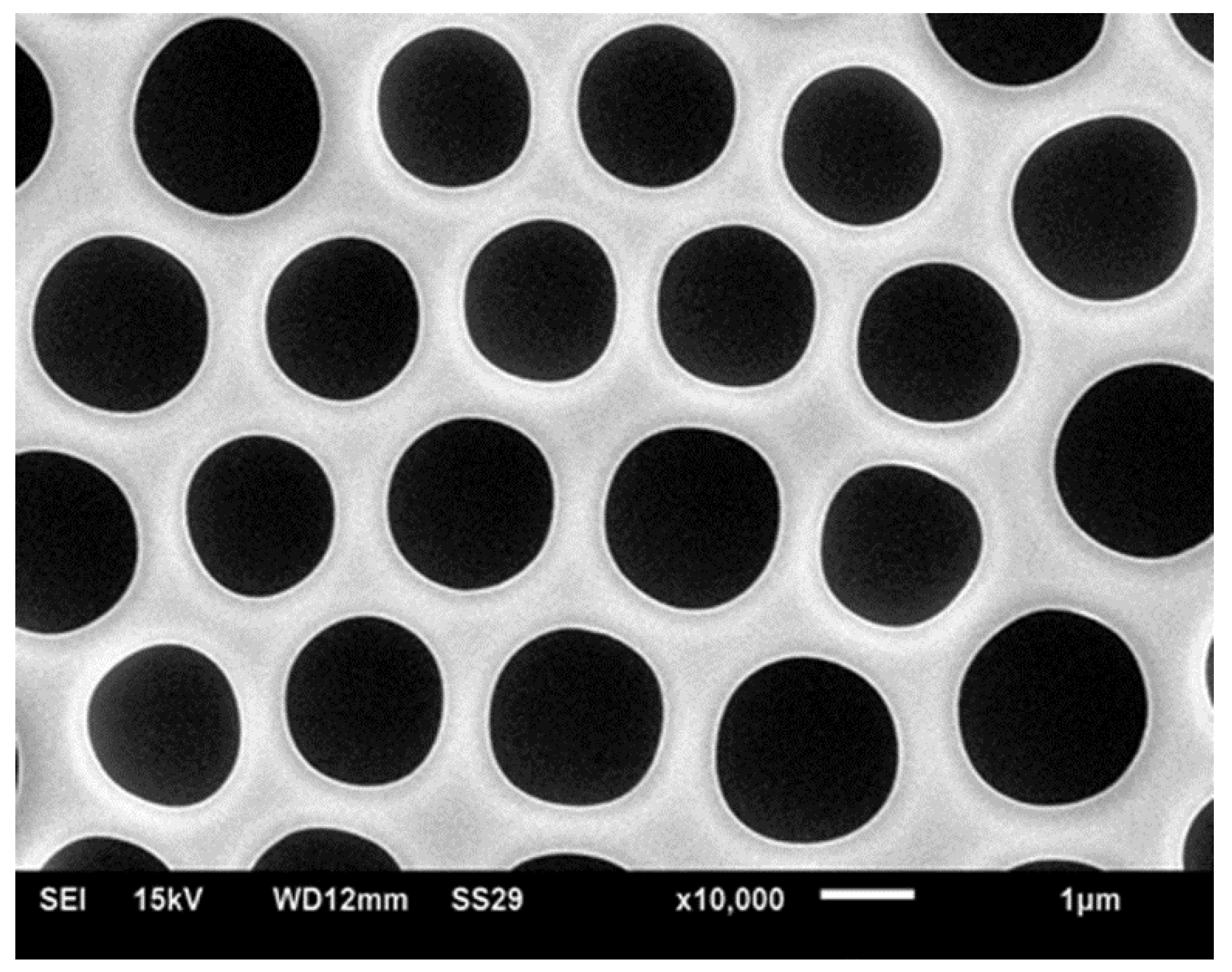 Membranes 07 00045 g002