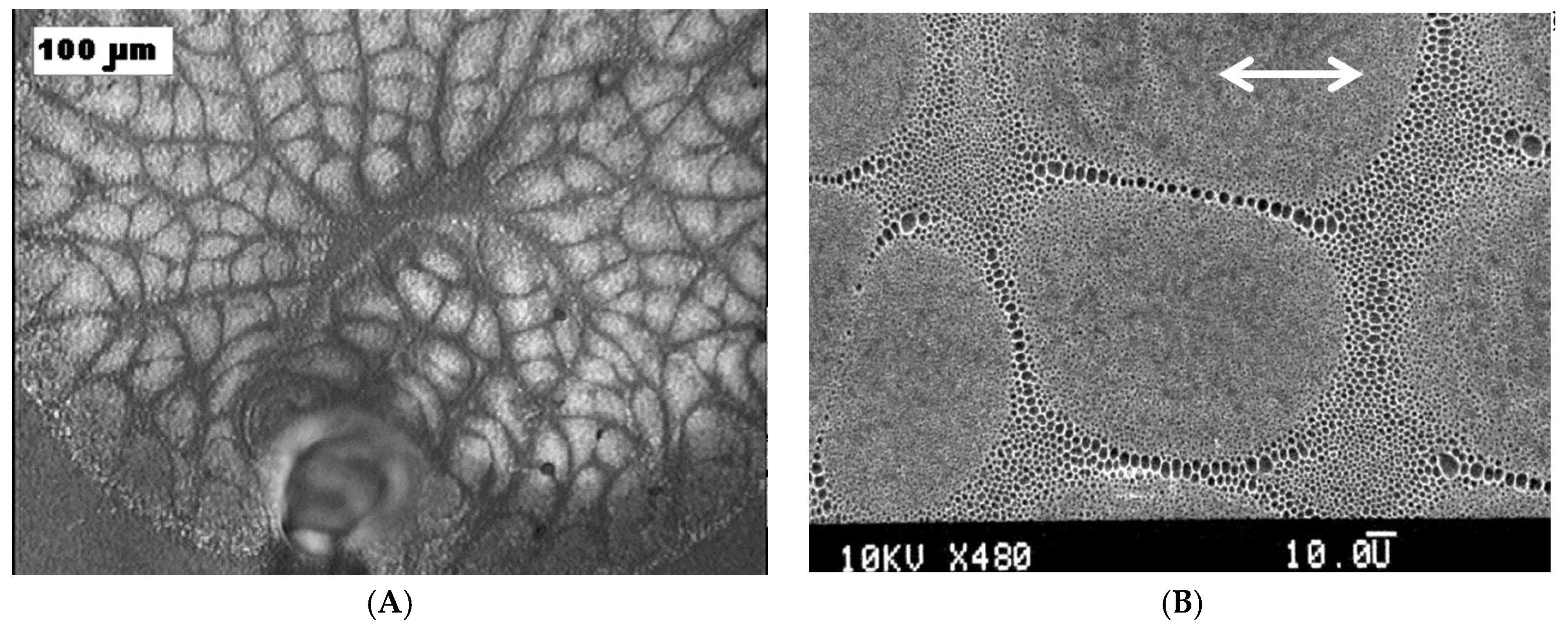 Membranes 07 00045 g003
