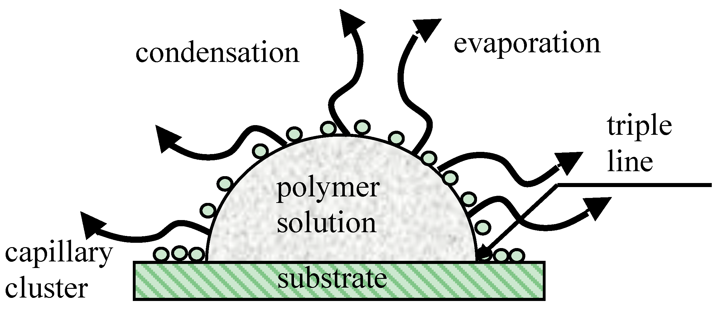 Membranes 07 00045 g004