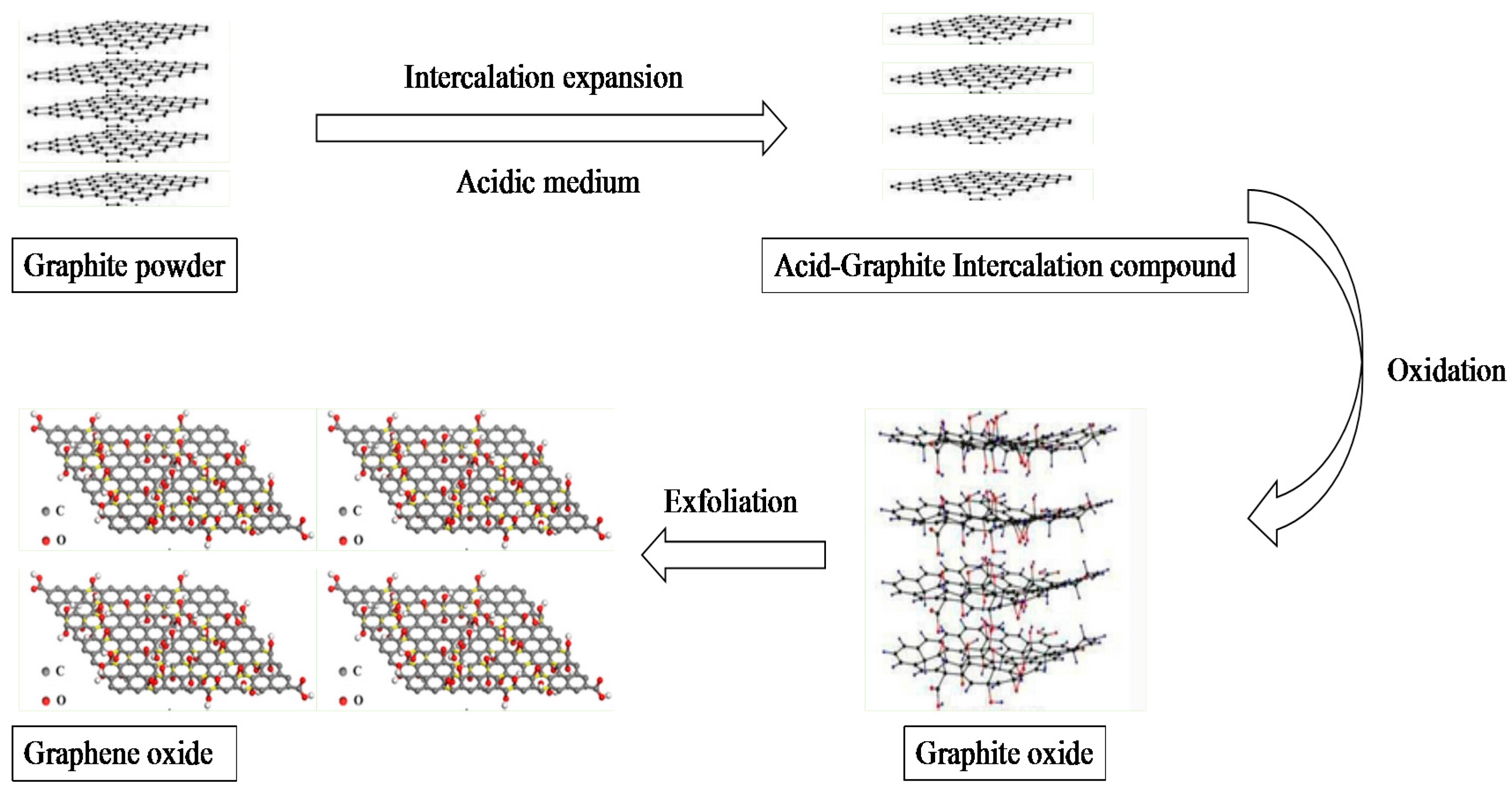 Membranes 07 00052 g003