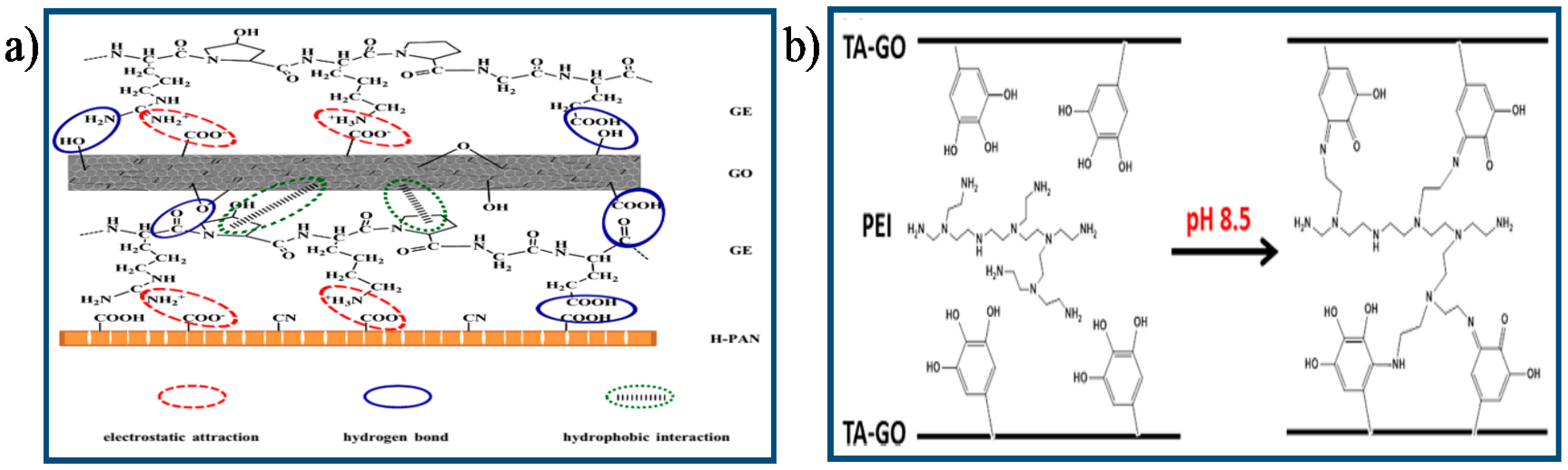 Membranes 07 00052 g011