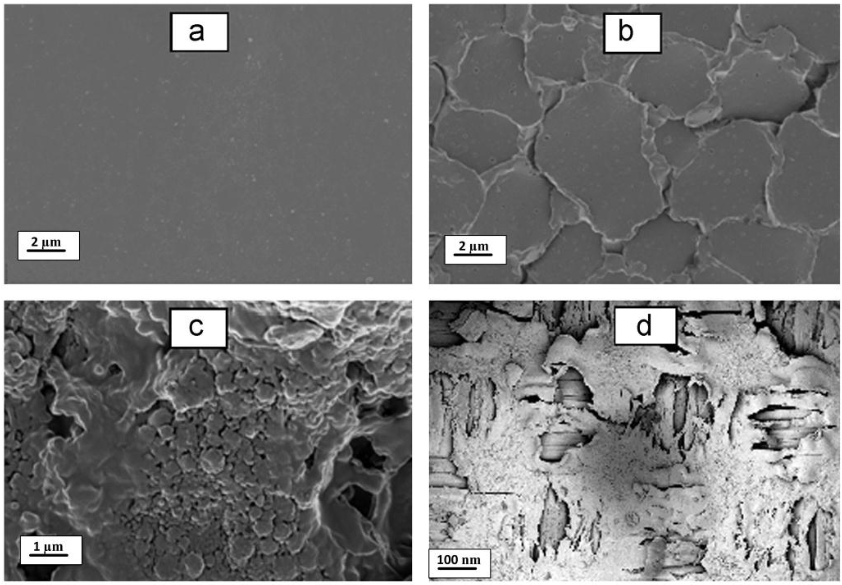 Membranes 07 00054 g006