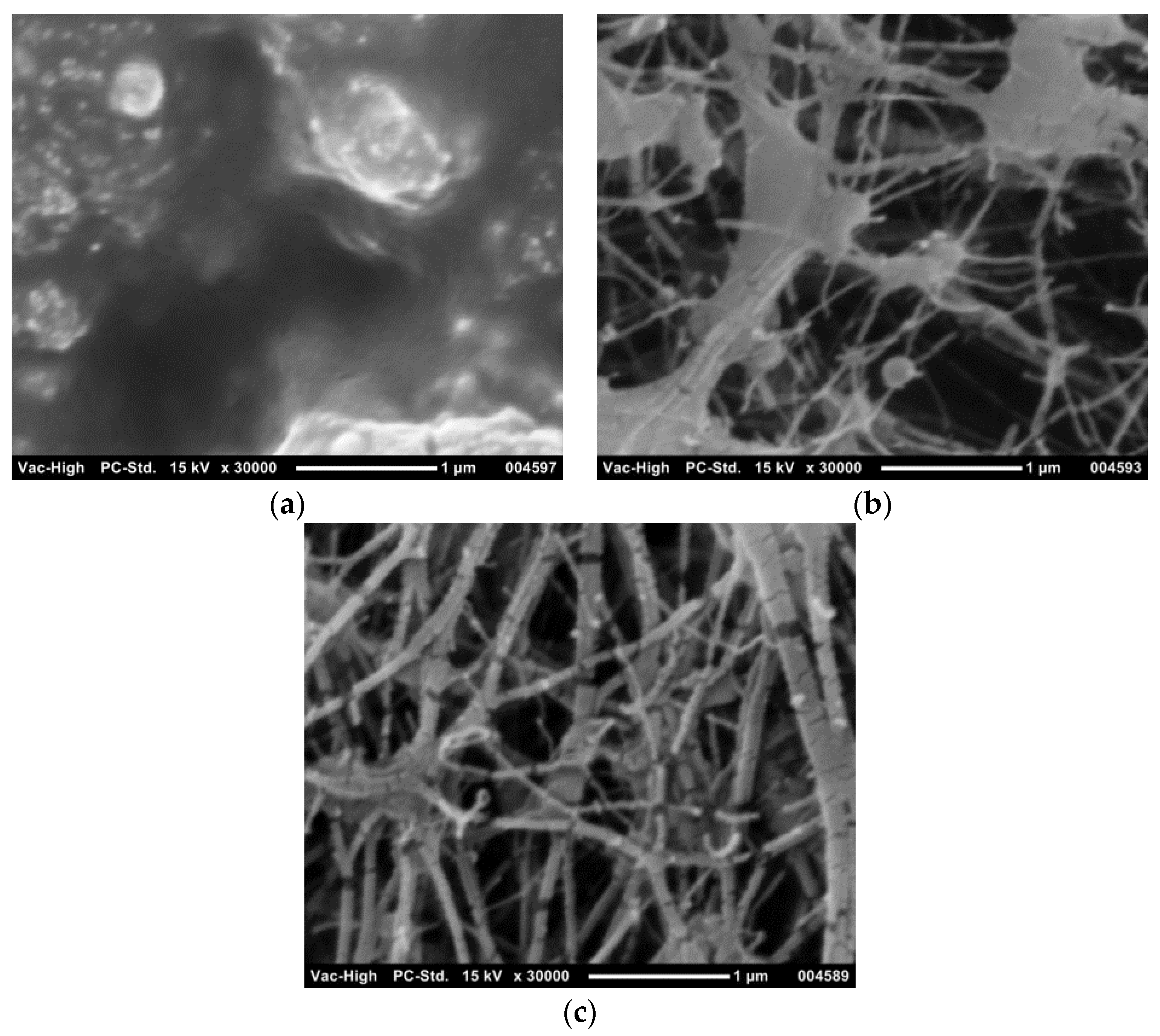Membranes 07 00055 g005 Membranes 07 00055 g005
