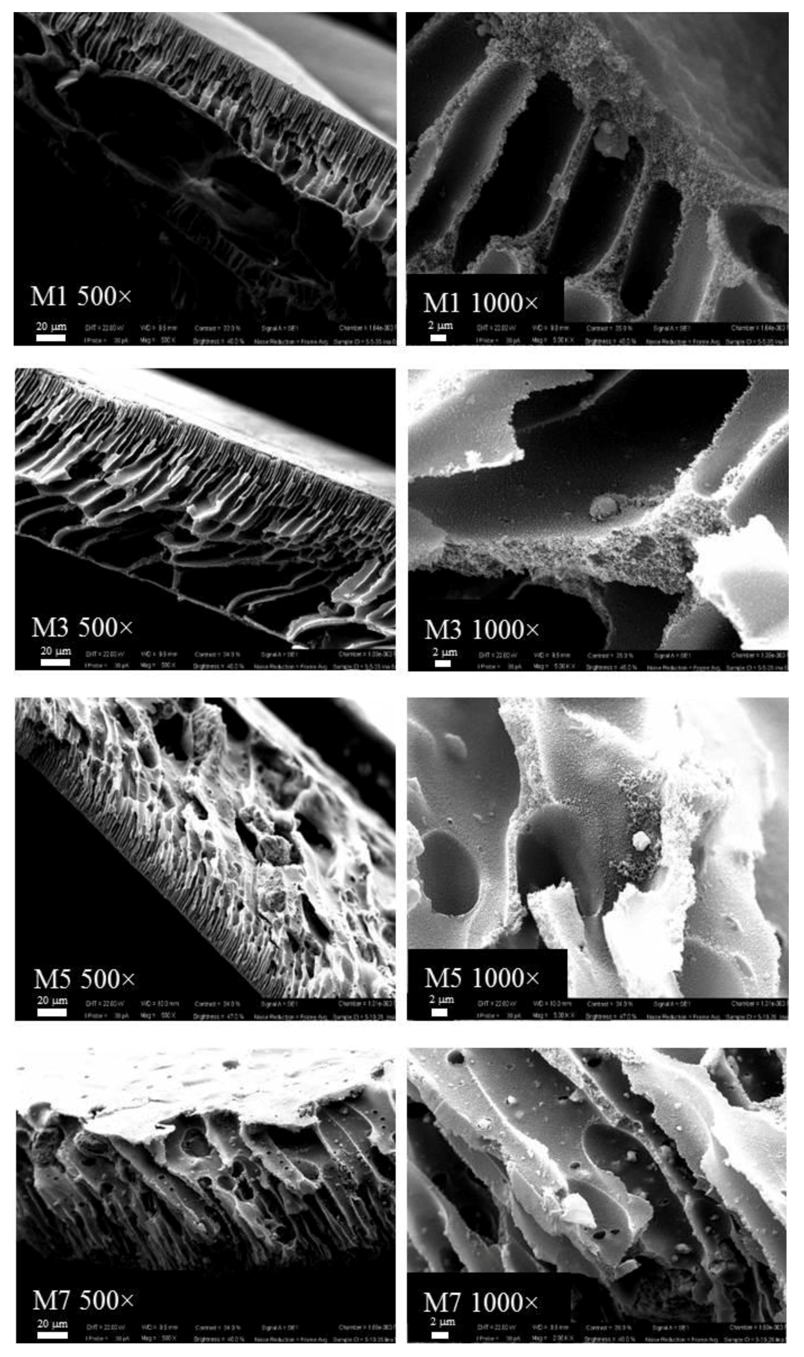 Membranes 07 00057 g002