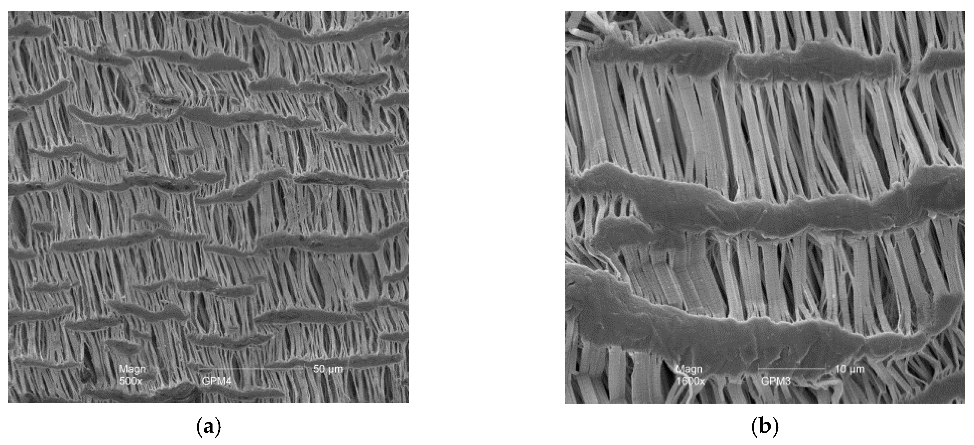 Membranes 07 00059 g005 550