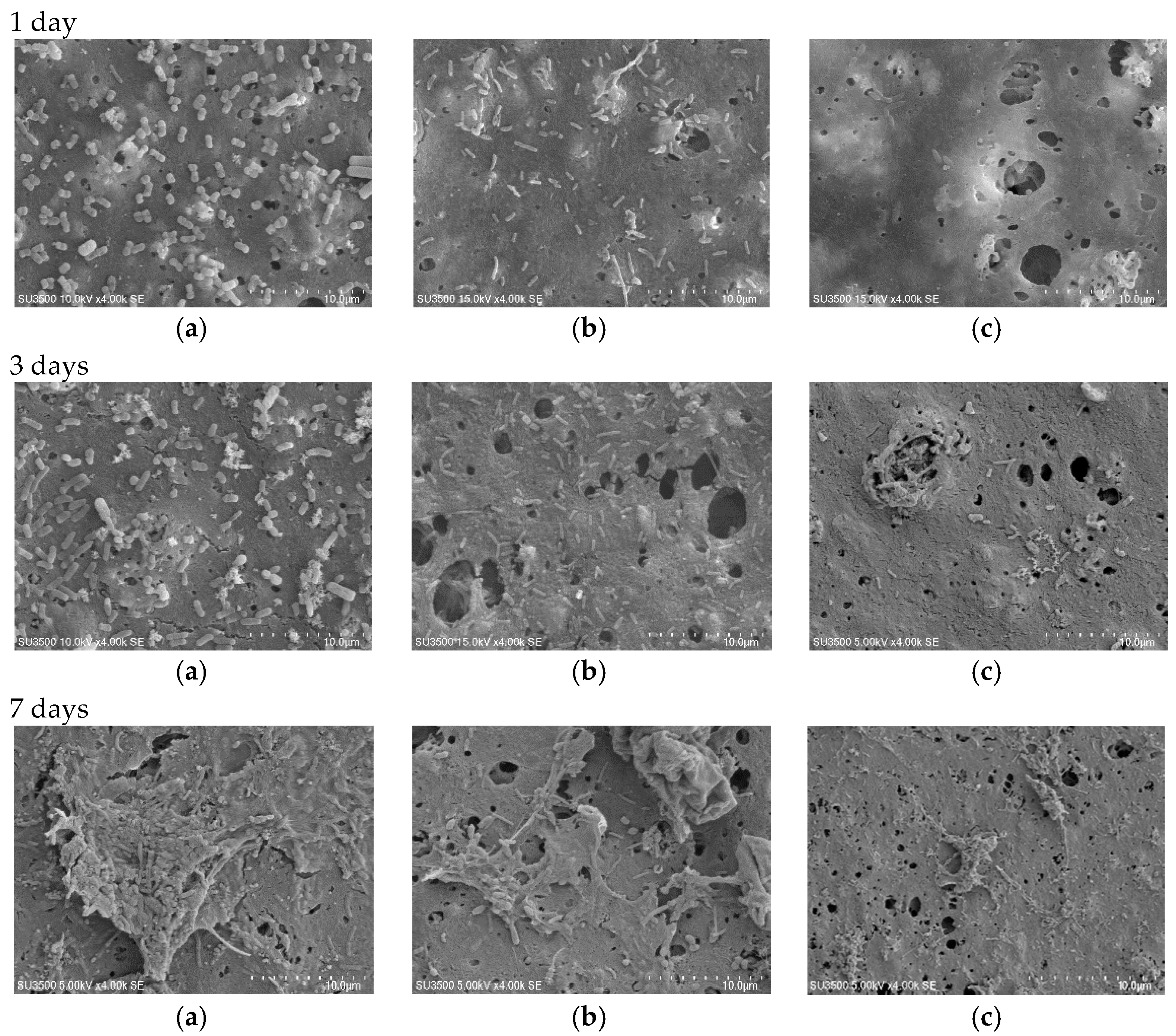 Membranes 07 00064 g010