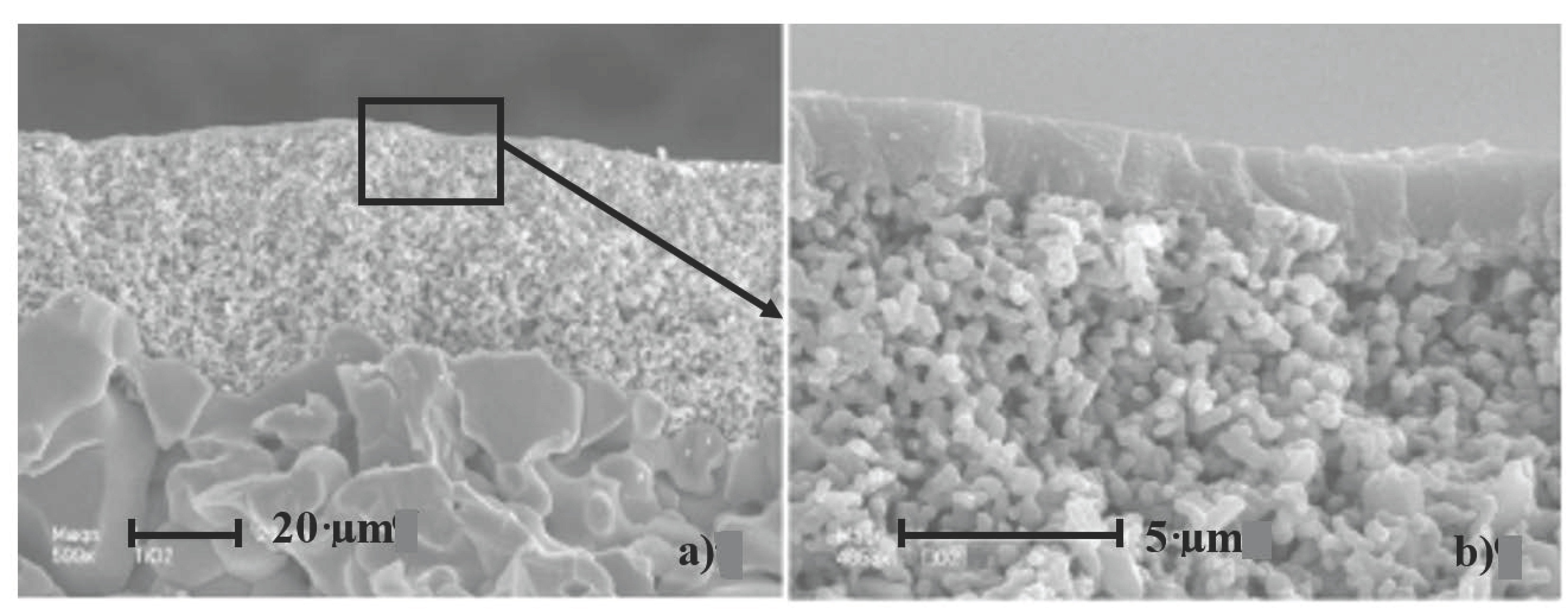 Membranes 07 00065 g001