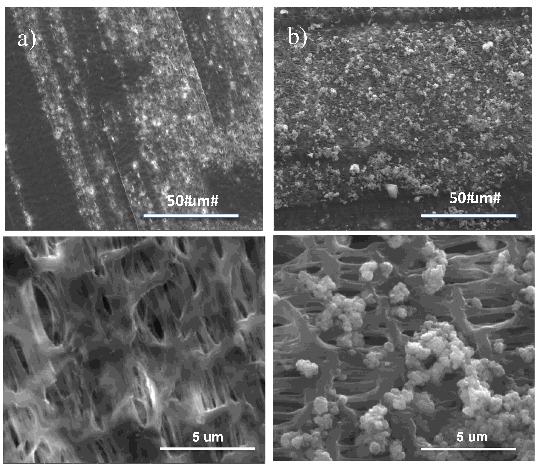 Membranes 07 00066 g001 550