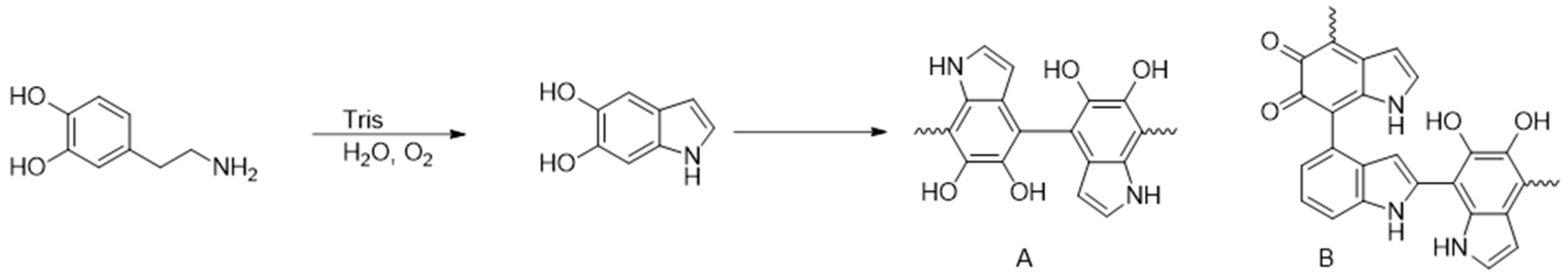 Membranes 07 00070 g001 Membranes 07 00070 g001