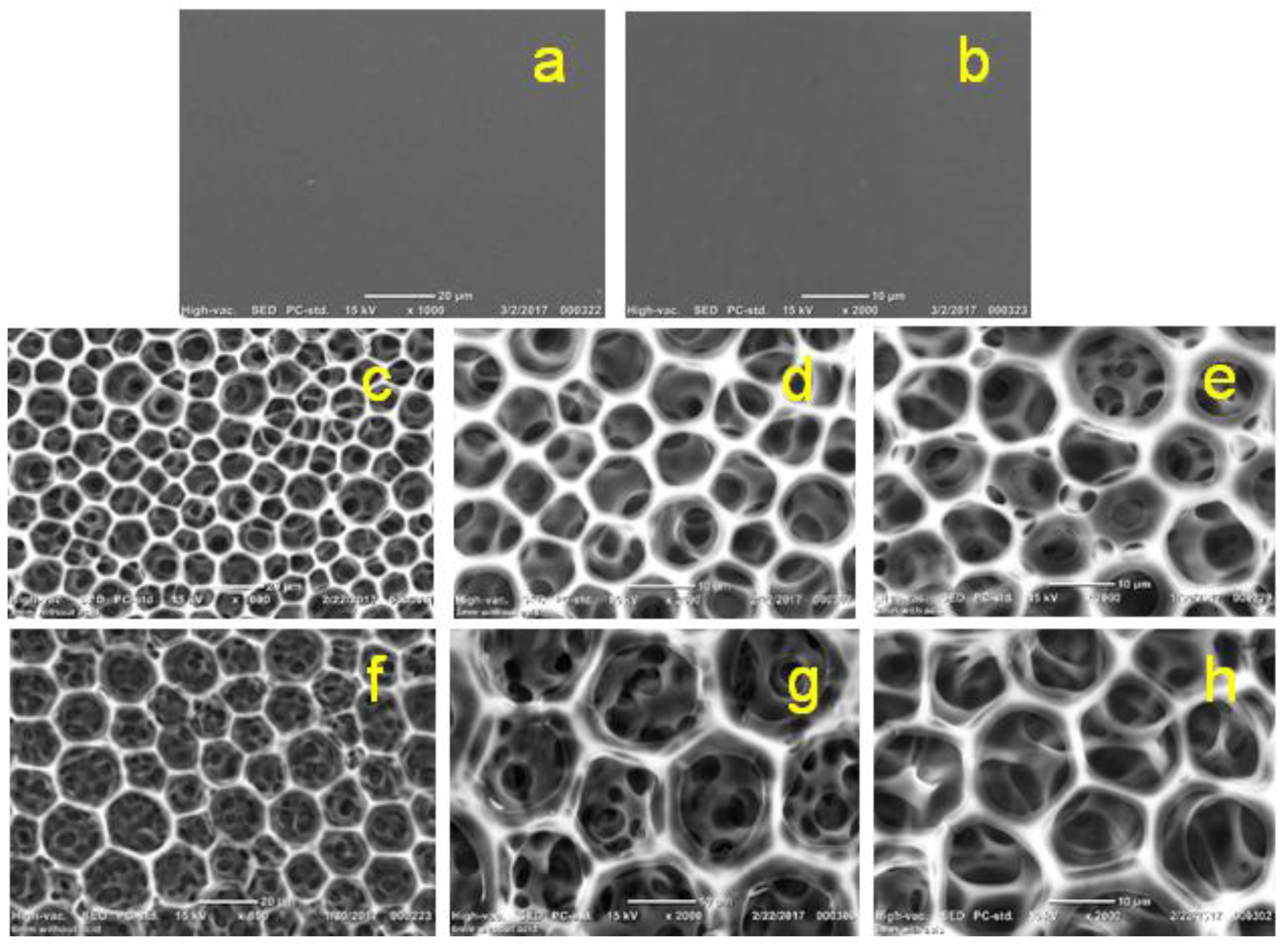 Membranes 08 00002 g012 Membranes 08 00002 g012