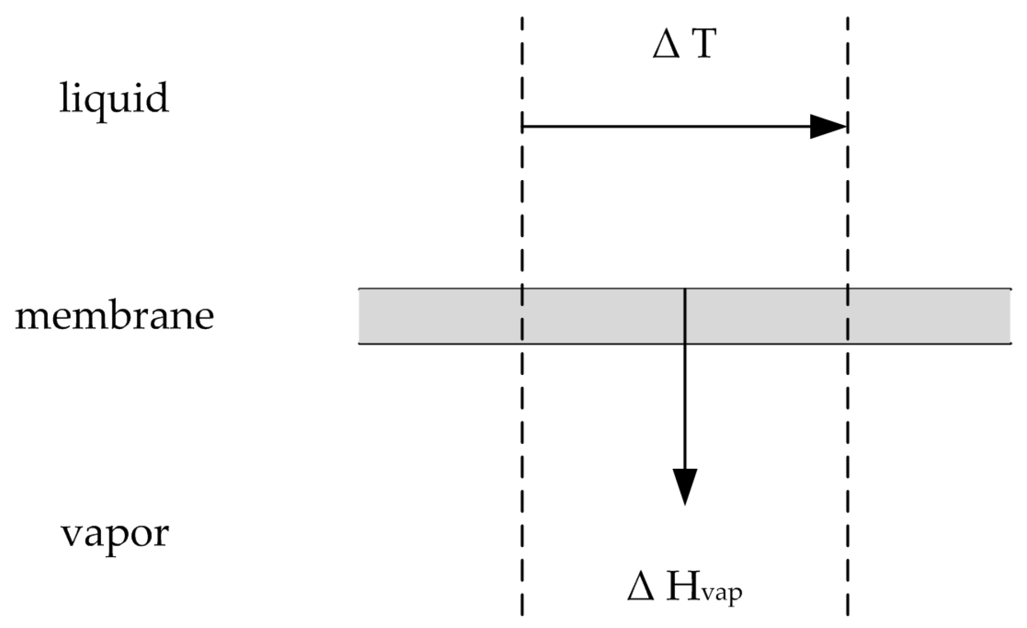 Membranes 08 00004 g003 550