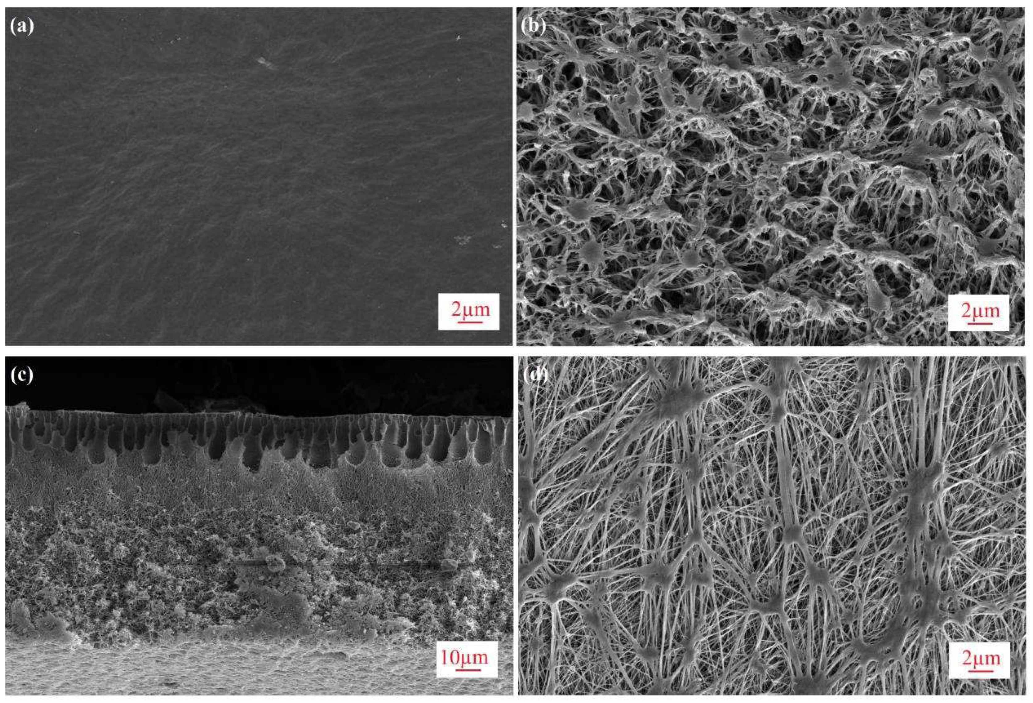 Membranes 08 00009 g002 Membranes 08 00009 g002