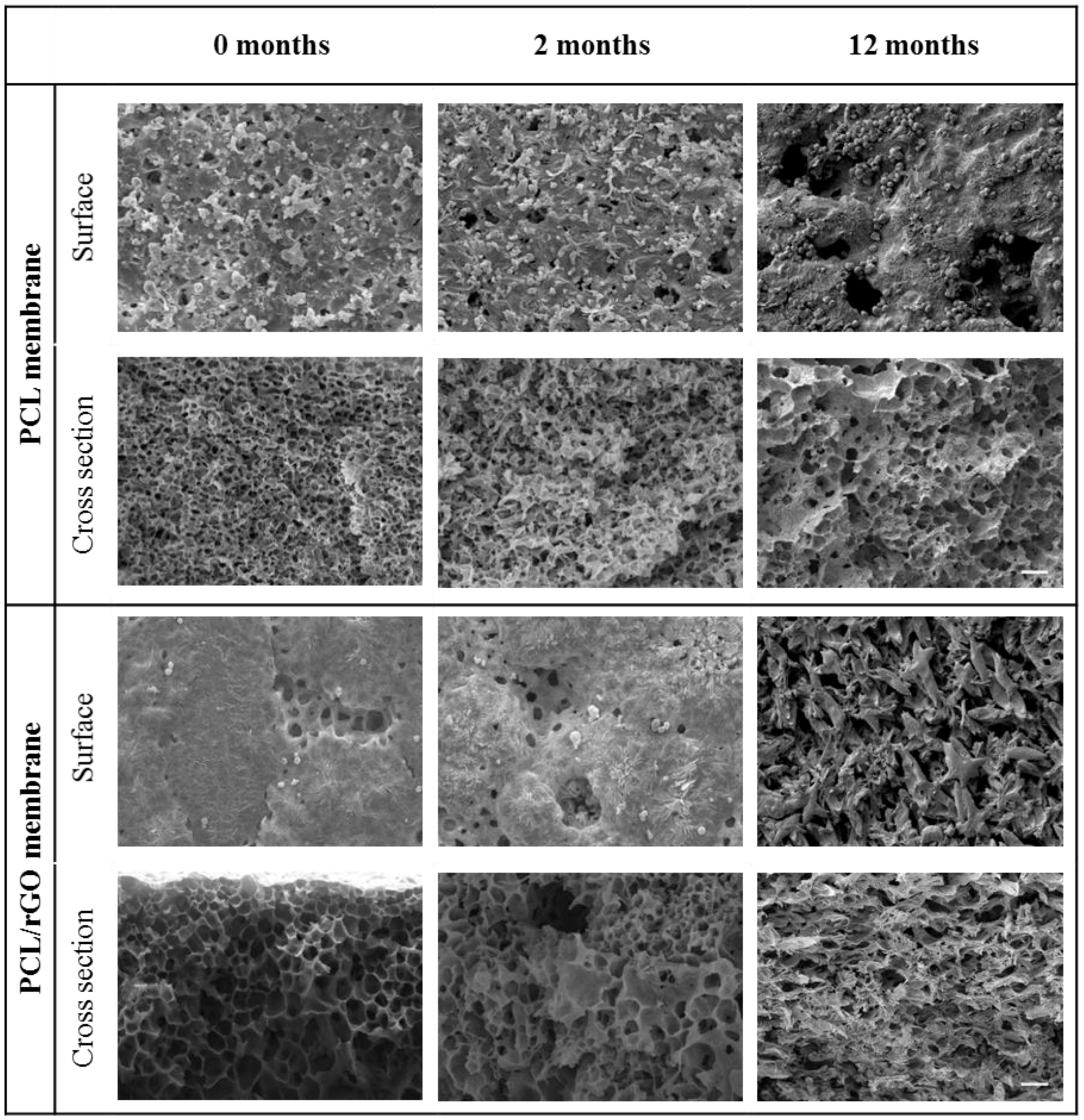 Membranes 08 00012 g005 Membranes 08 00012 g005