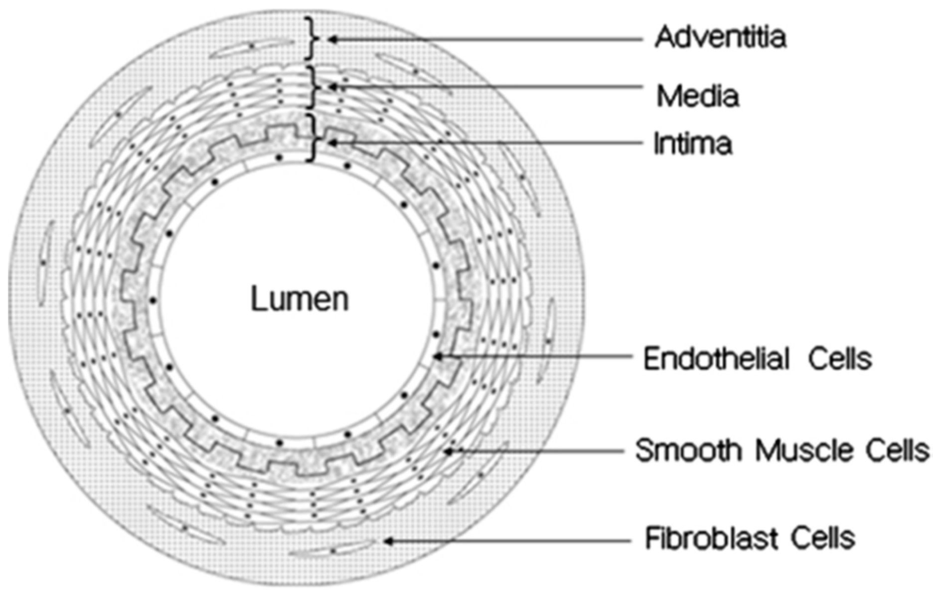Membranes 08 00015 g001